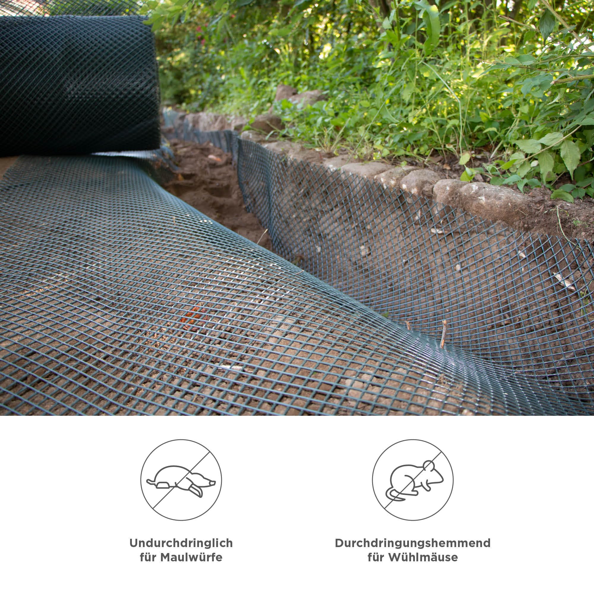 blizz-z Maulwurfsperre HDPE B: 1m x L: 50m (480g/m²) - grün - 1 Rolle | Maschenweite 13 x 13 mm - Maulwurfschutz Maulwurfgitter Kunststoffgitter - UV-stabil, verrottungsfest - Made in EU