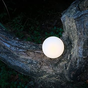 Amazon.co.jp: MOGICS ココナッツライト マルチカラー : ホーム