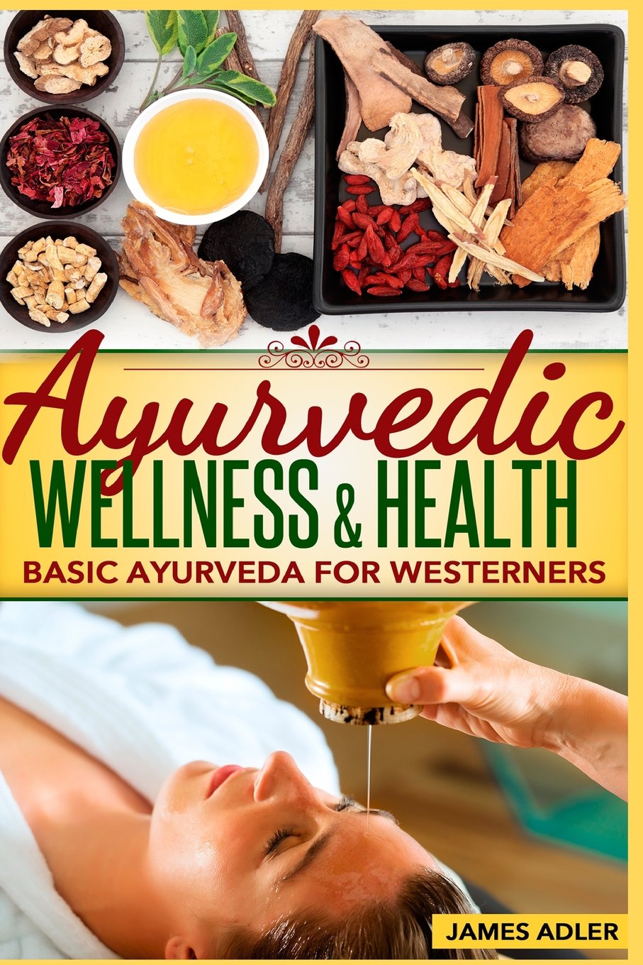 Ayurveda: Ayurvedic Wellness and Health. Basic Ayurveda for Westerners. (Wellness Coaching, Ayurveda, Lifestyle Transformation) Paperback – February 20, 2014