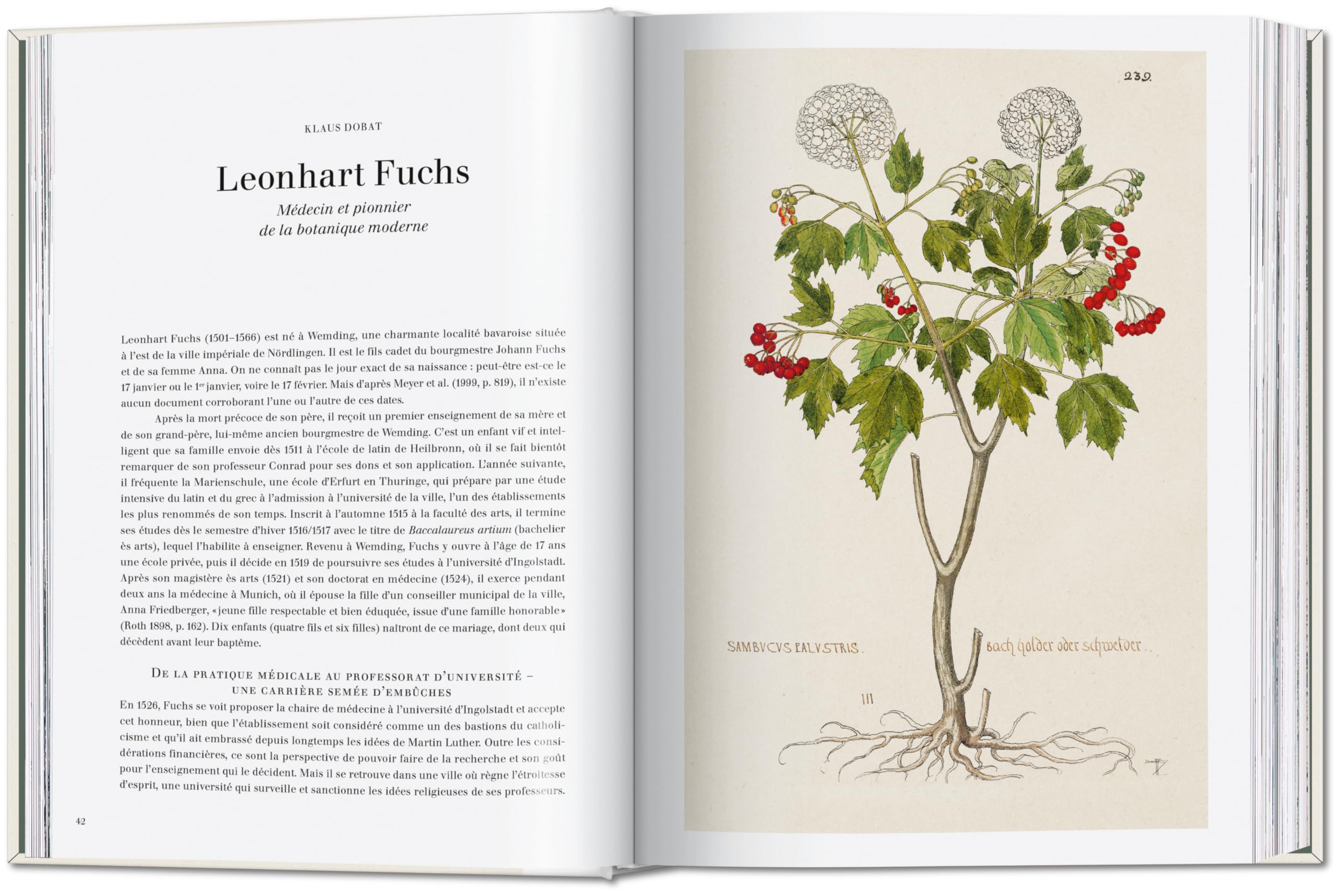 Leonhart Fuchs: The New Herbal