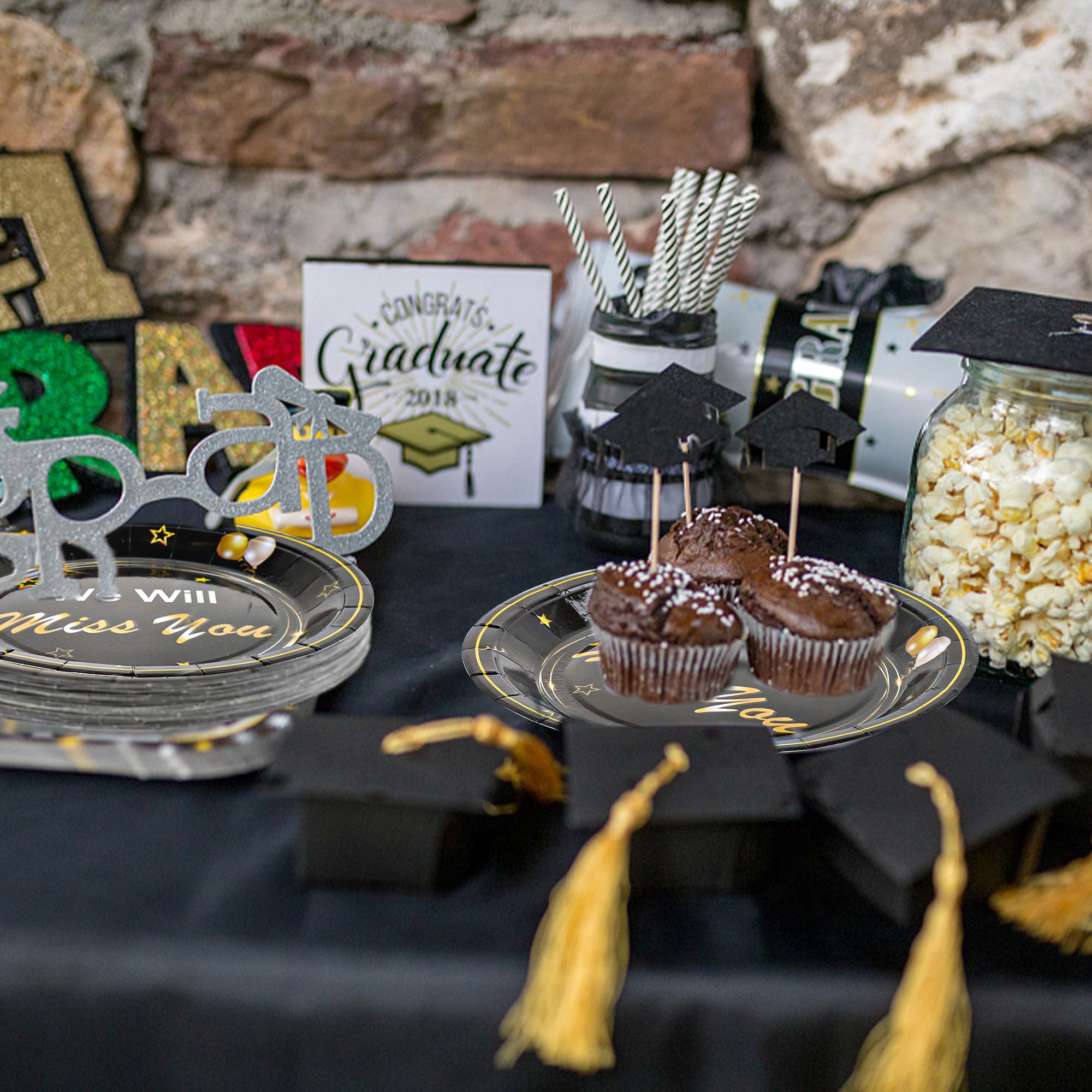 Amazon.com: Pack of 48 We Will Miss You Paper Plates Gold and Black  Disposable Plates Going Away Farewell 9