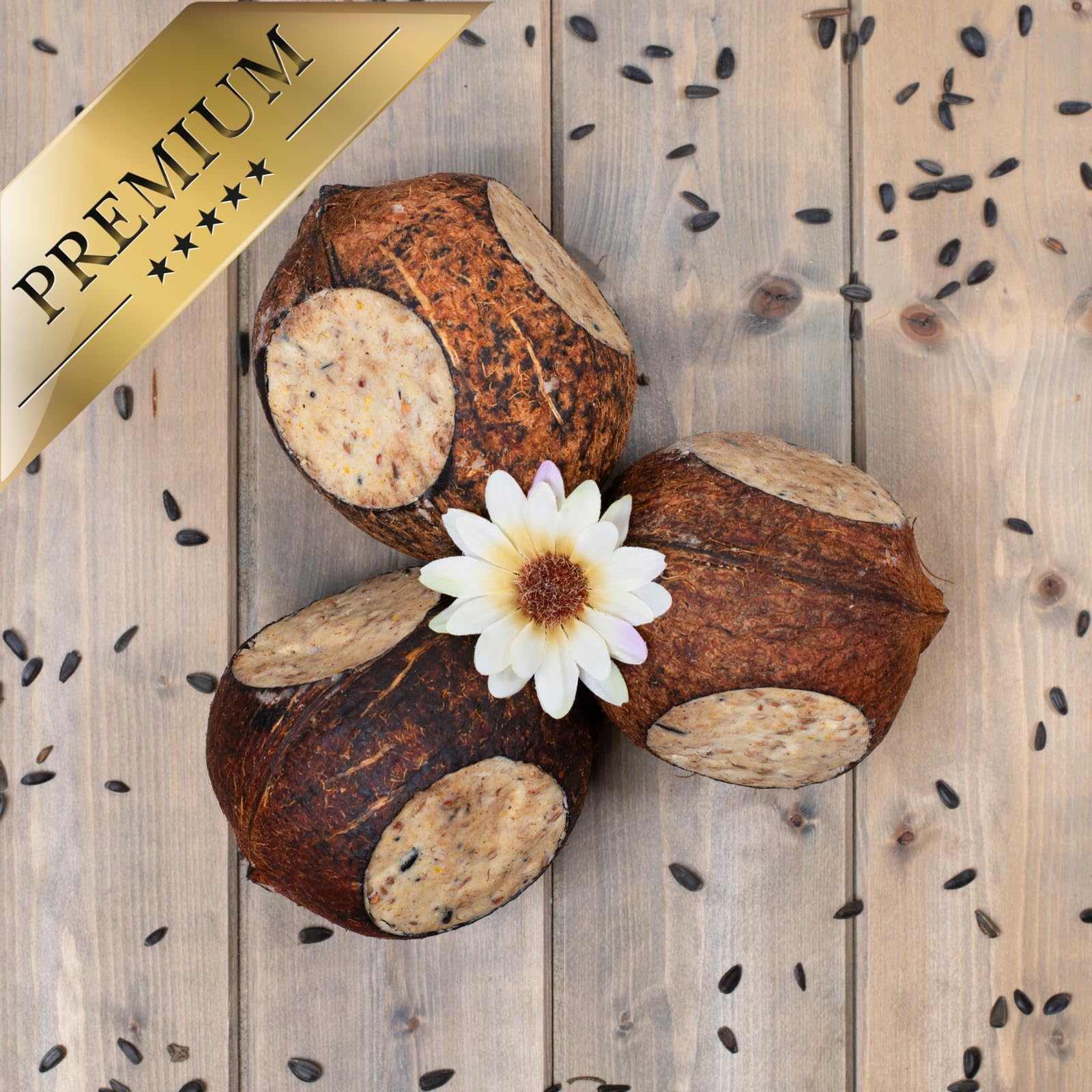 Lyra Pet® 2 x 4 Noix de Coco entières remplies de 3 Trous | Nourriture Riche en Graisse pour Oiseaux Sauvages | Noix de Coco remplie de substances nutritives | Nourriture grasse pour Toute l'année