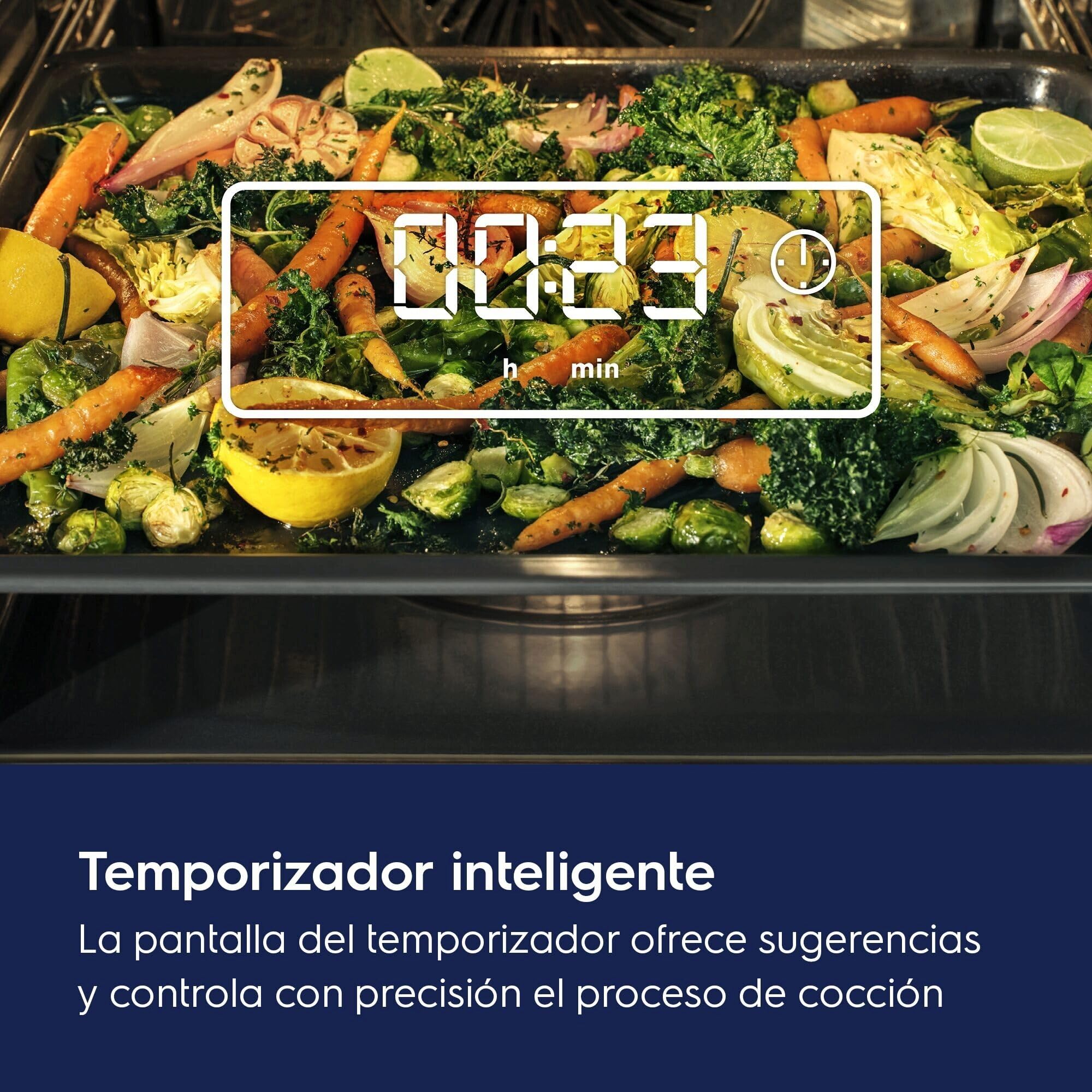 Electrolux OEF5H50BK – Horno Multifunción Serie 600 SurroundCook, 9 Funciones, Cavidad XXL, Display LED y Pantalla Táctil, Carriles Telescópicos 1 Nivel, INOX Antihuellas, Clase A+