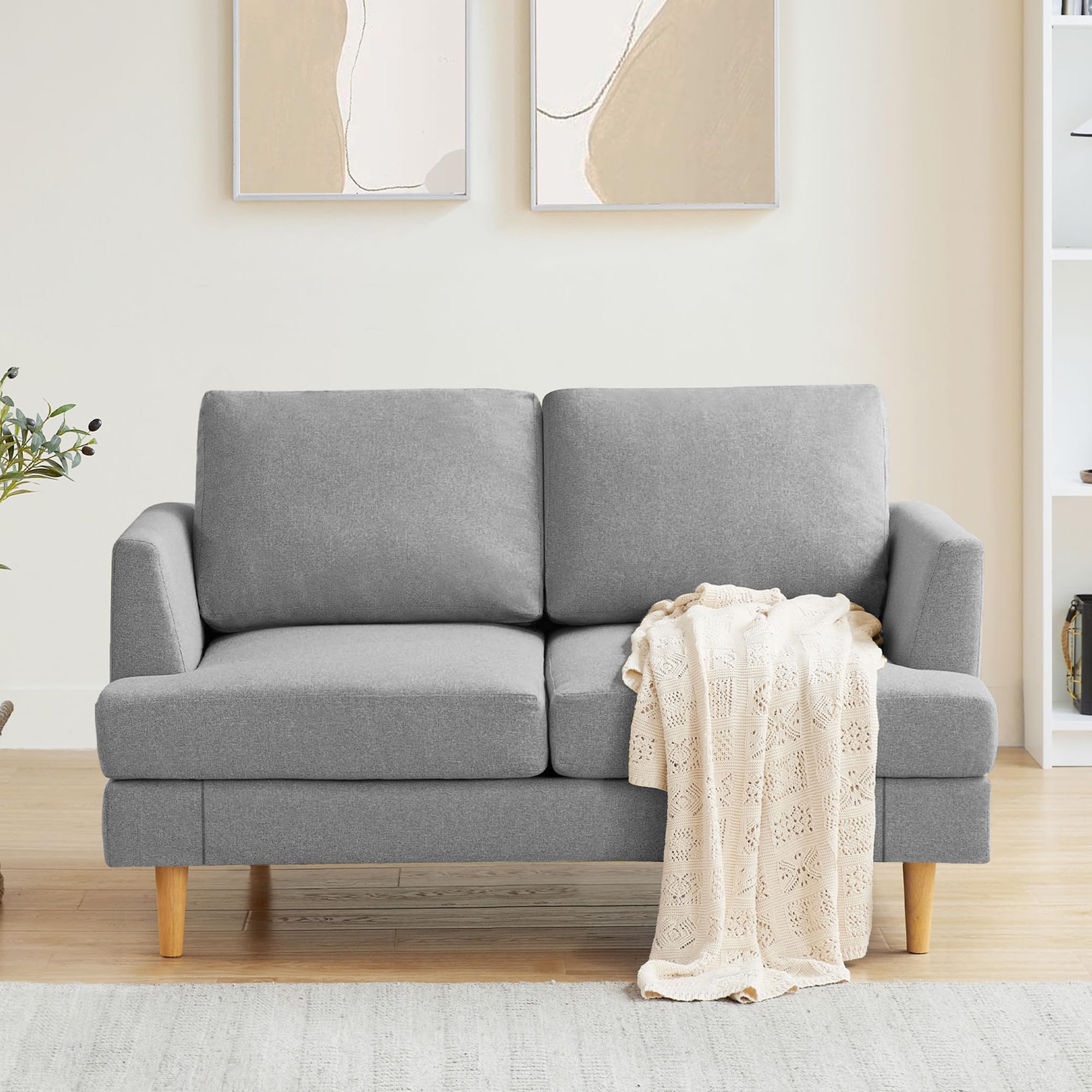 Busaurus Loveseat Sofa 56", Small Couches for Small Spaces, Mid Century Love Seat Couches for Living Room, Upholstered 2-Seater Small Couch for Bedroom, Apartment, Light Grey