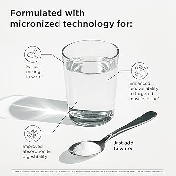Designs for Health Micronized Creatine Monohydrate Unflavored Powder, 90 Servings, 5g per Serving for Women & Men to Support Muscle Strength and Brain Health