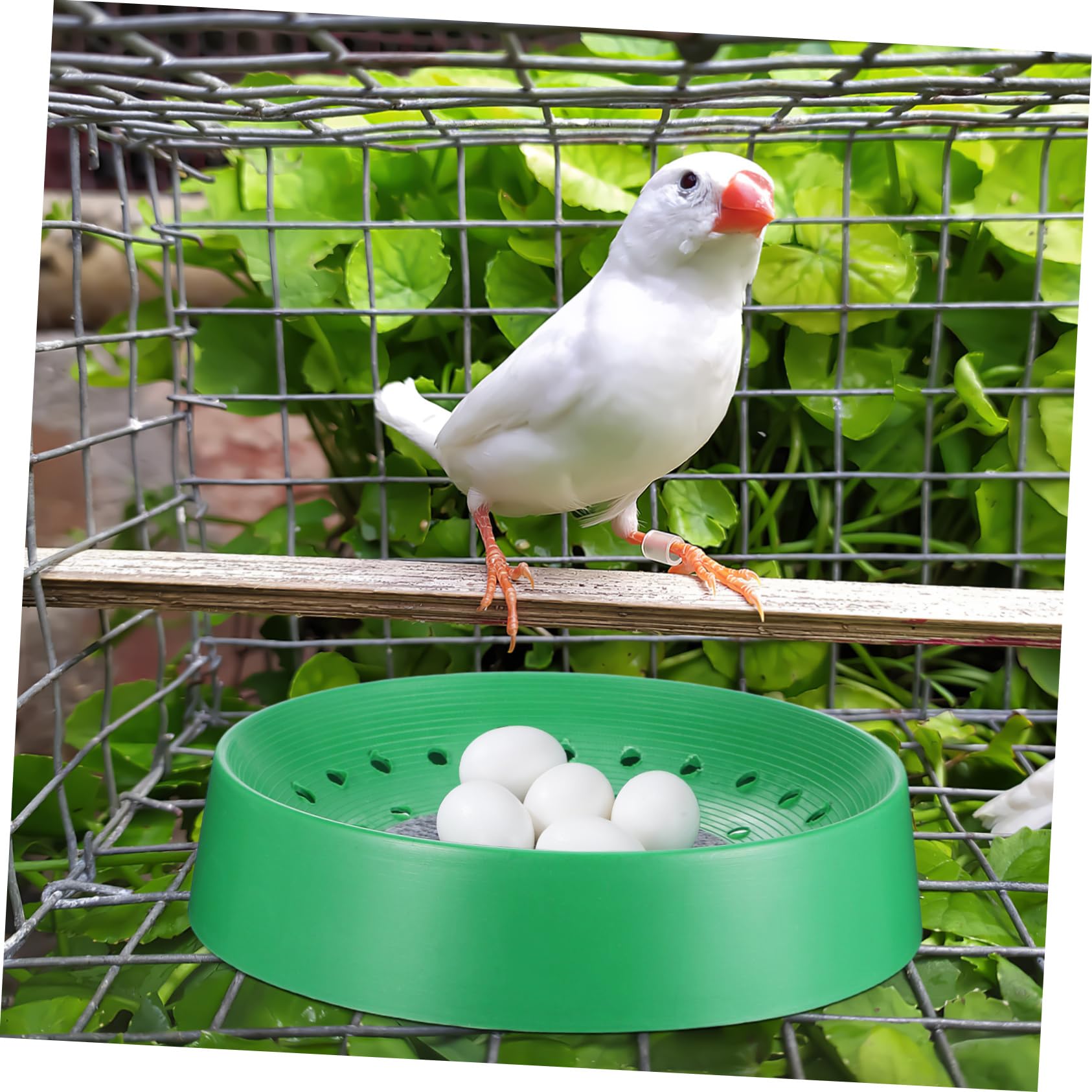 FRCOLOR 10 Piezas Virutas De Pino Birdemia Nido De Gorrión Cajas De Cría De Palomas Cajas Nido De Pollo Caja Nido para Incubar Nido De Pájaro Loro Dónde Cola Larga Gallinero