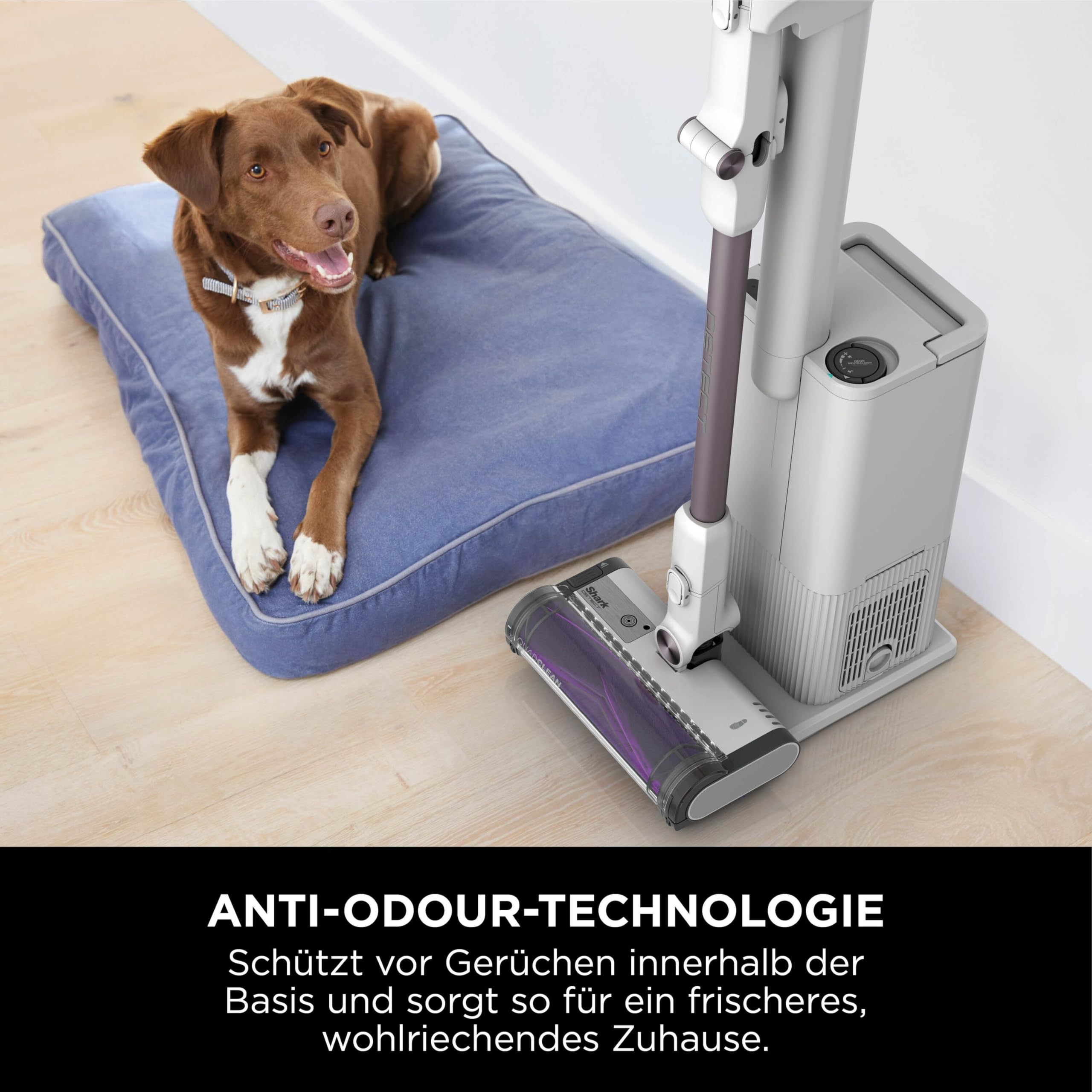 Shark Detect Clean & Empty Akku-Staubsauger mit Absaugstation, bis 60 Min. Laufzeit, kabellos, für Tierhaare, Allergiker, Teppich & Hartböden, mit LED-Licht, 3 Aufsätze, weiß, IW3613EUT