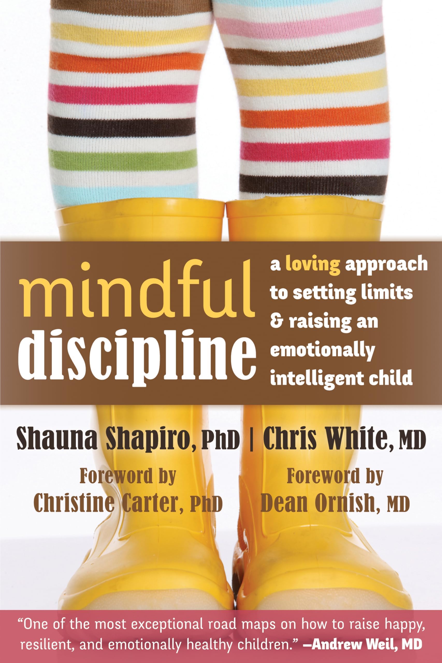 Mindful Discipline: A Loving Approach to Setting Limits and Raising an Emotionally Intelligent Child Paperback – Illustrated, June 1, 2014