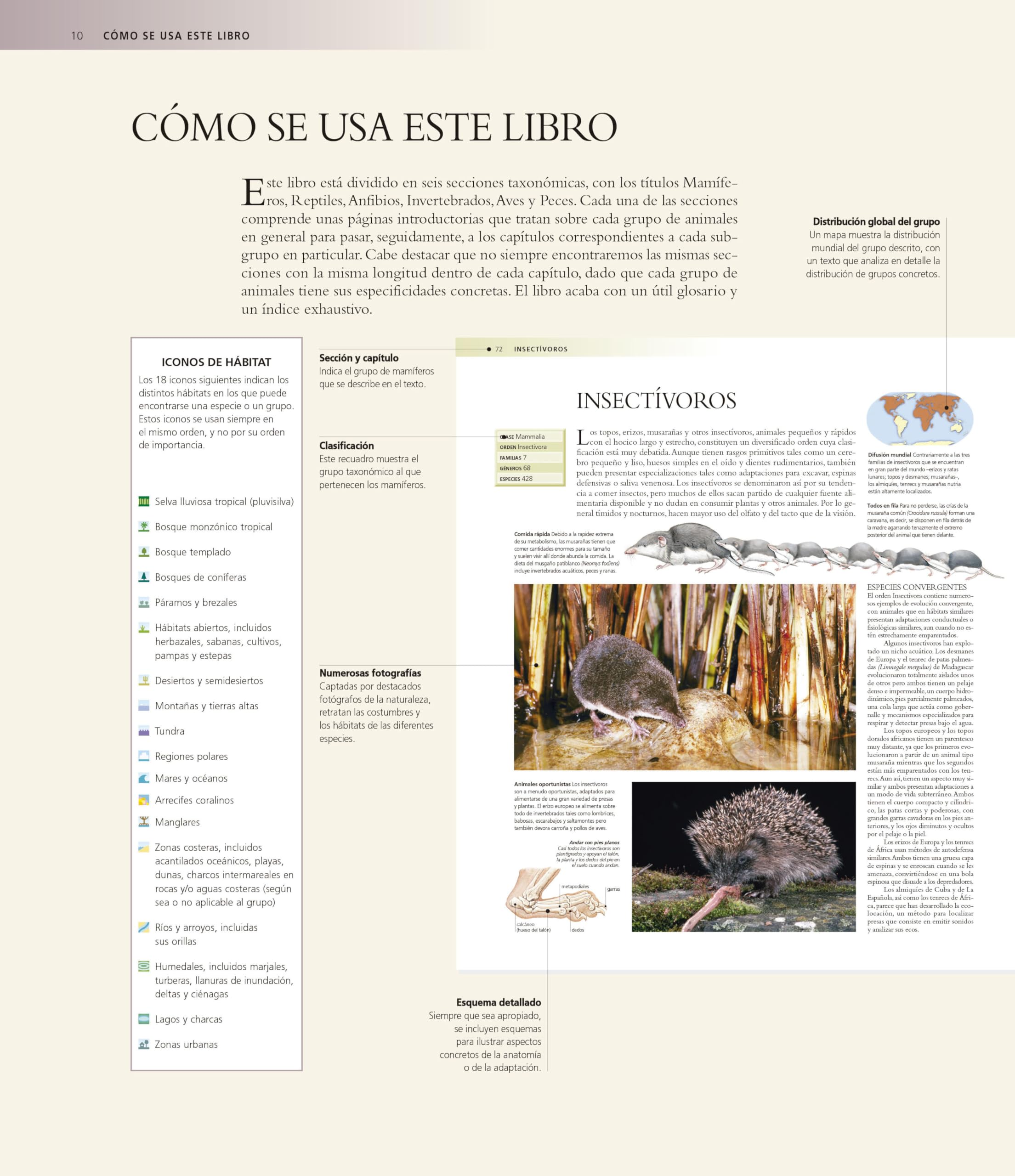 Enciclopedia de los animales (Grandes obras ilustradas, National Geographic)
