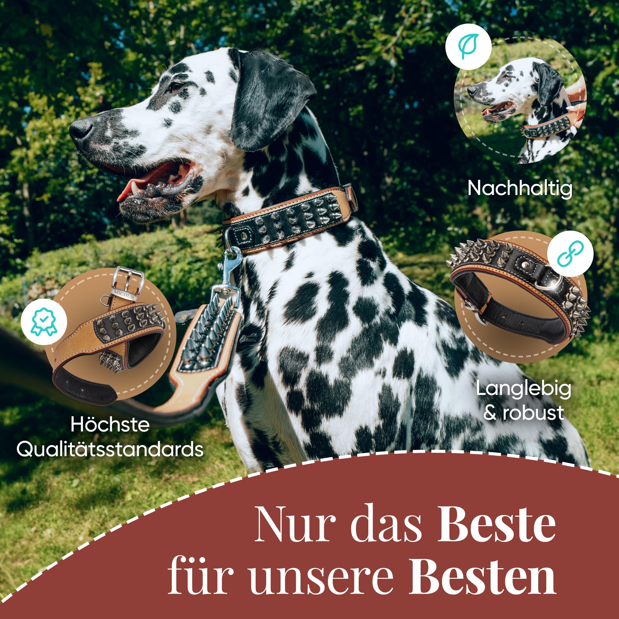 MICHUR Strike NO. 1 Hundehalsband Leder, Beige Schwarz, Breit, Nieten | Lederhalsband Hund, schwarz beige, Leder Hundehalsband, mit Nieten, Halsband breit, verschiedene Größen