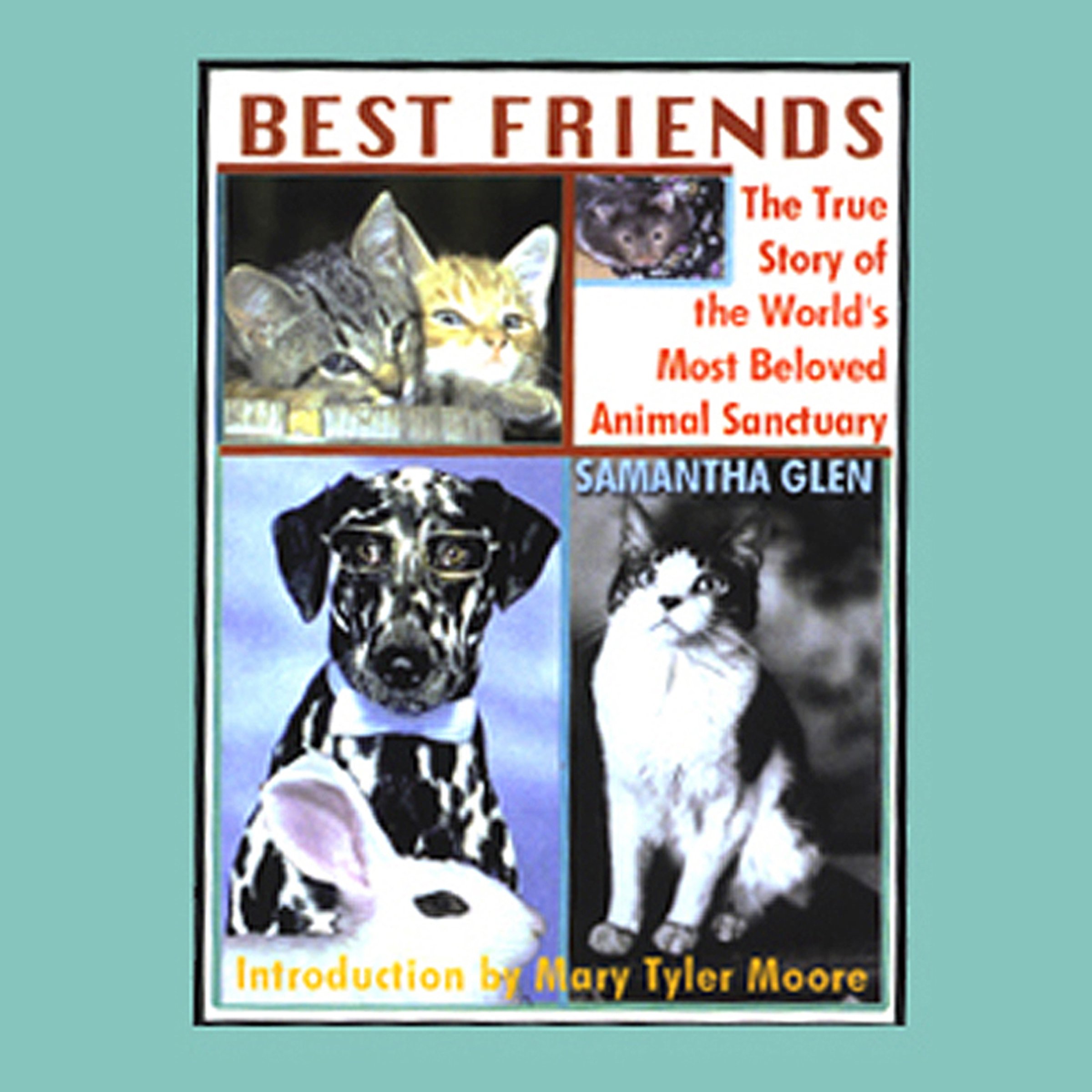 Cover art for Best Friends