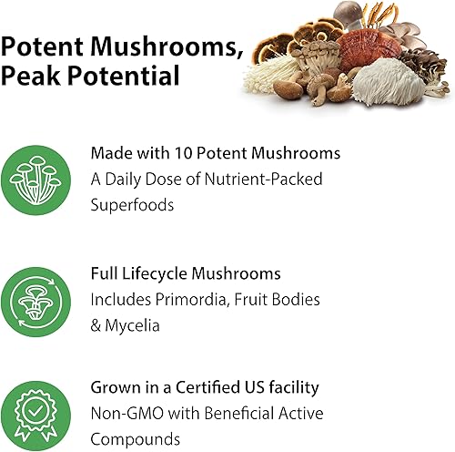 Miniatura 4 de Rainbow Light Suplemento eléctrico de hongos  Complejo hecho con 10 hongos potentes  Incluye melena de león, chaga, shiitake, reishi y más  Sin OMG