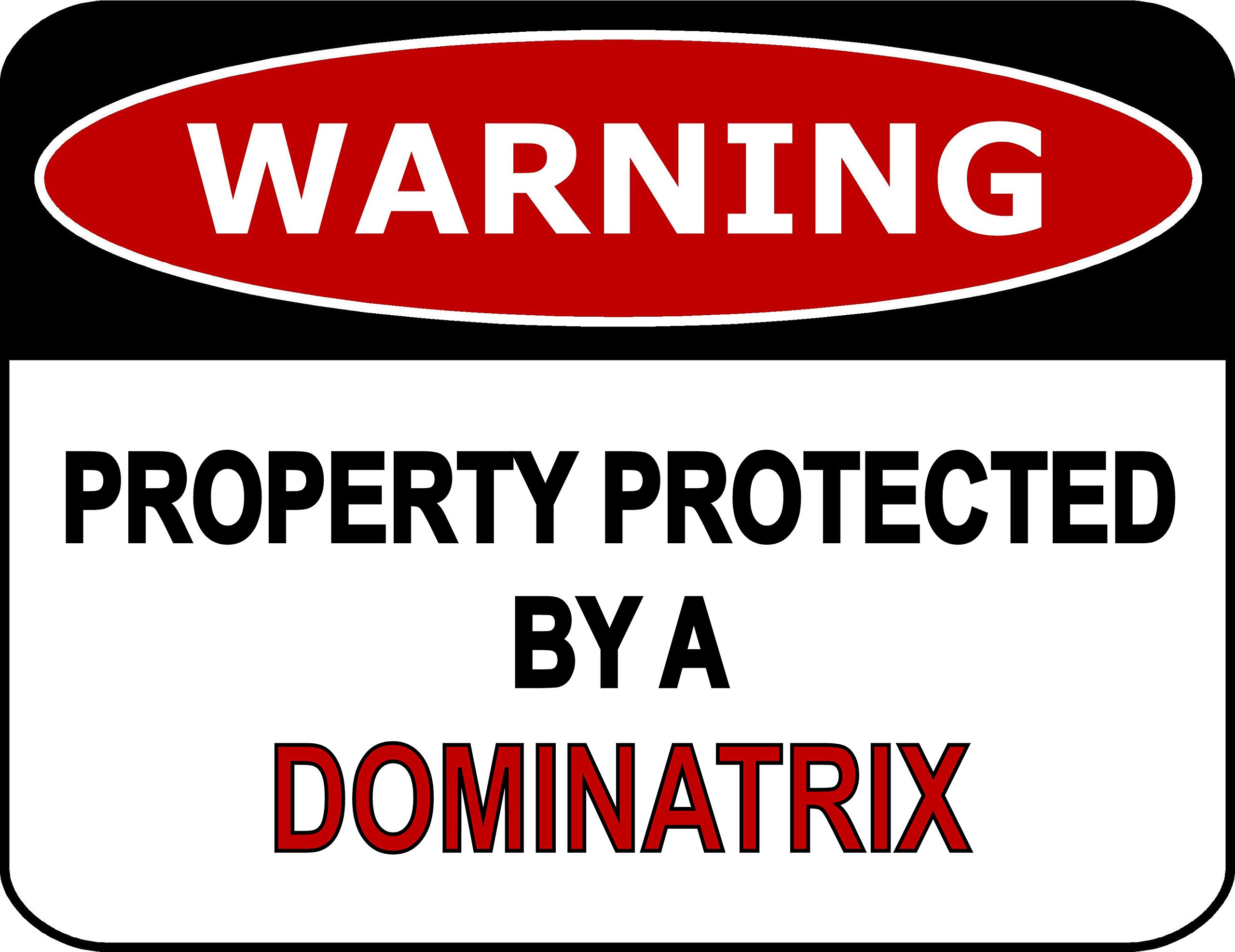 Aluminum Humorous Property Security Sign, Premises Protected By Dominatrix Yard Indoor Outdoor Wall Decor, 12x8 Inches