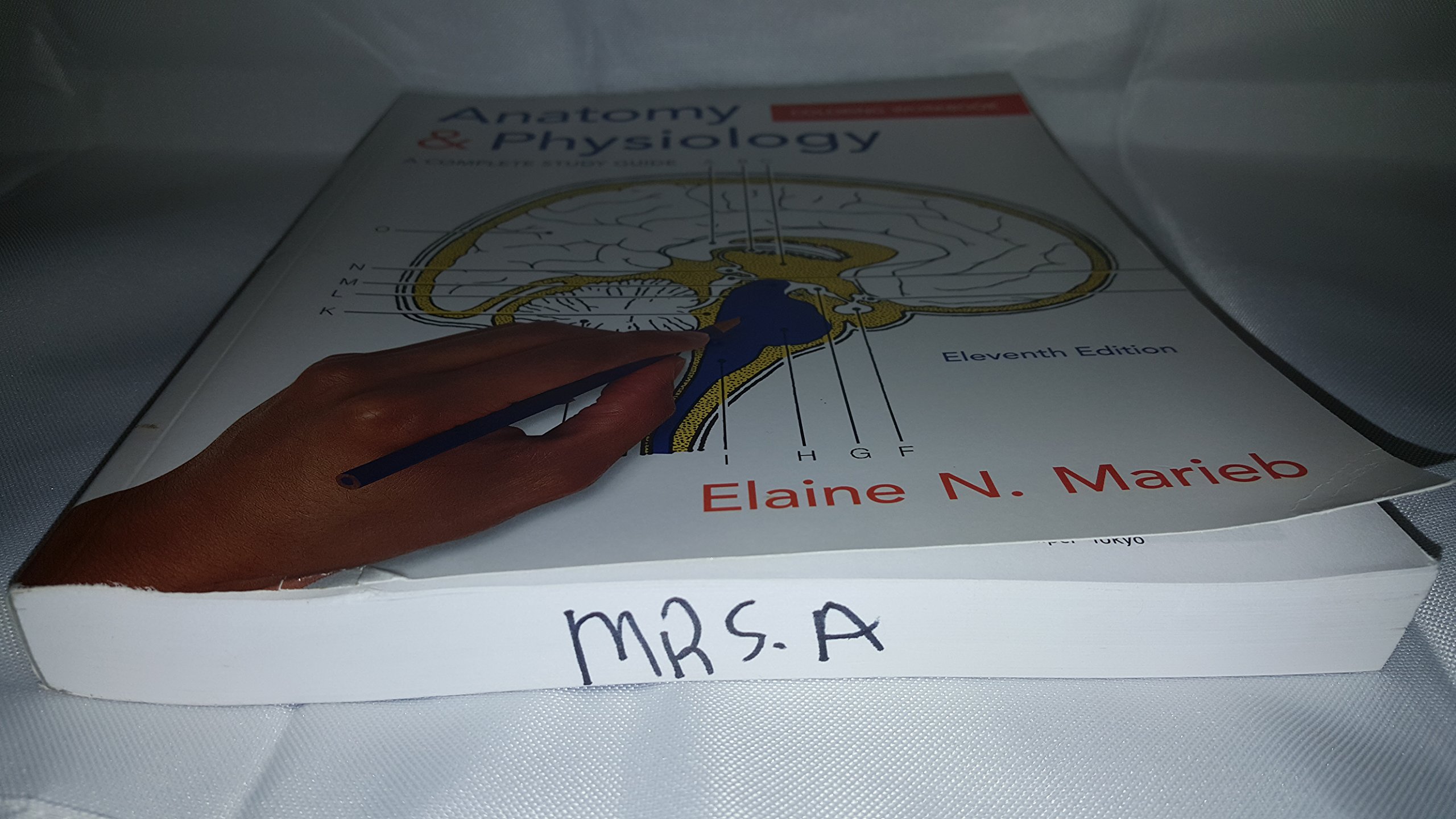 Anatomy & Physiology Coloring Workbook: A Complete Study Guide (11th Edition) - Image 5