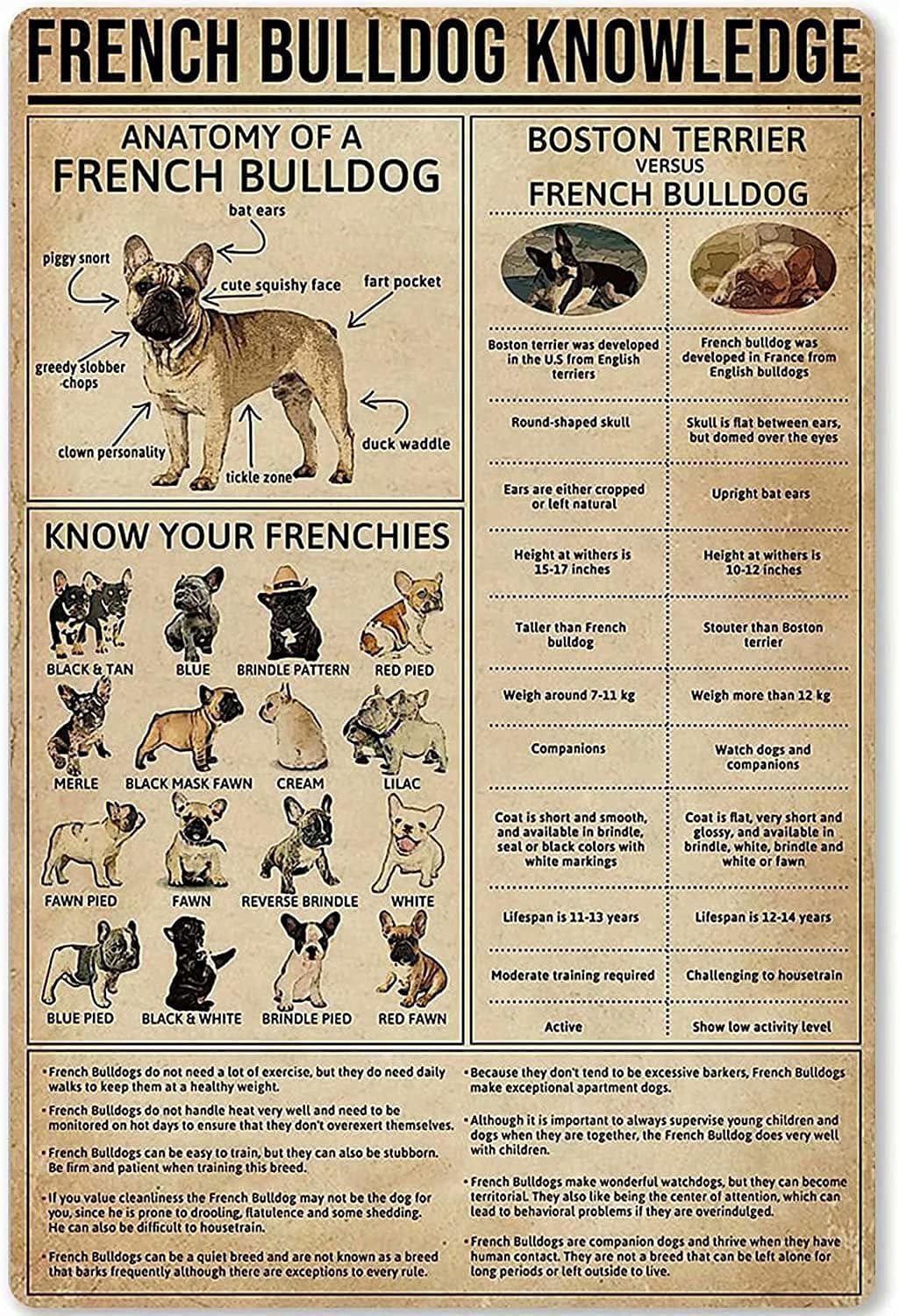 peiyeety French Bulldog Knowledge Metal Tin Sign Anatomy Of A French Bulldog Restaurant Cafe Kitchen Art Wall Printing Poster Plaque es 8"x12"