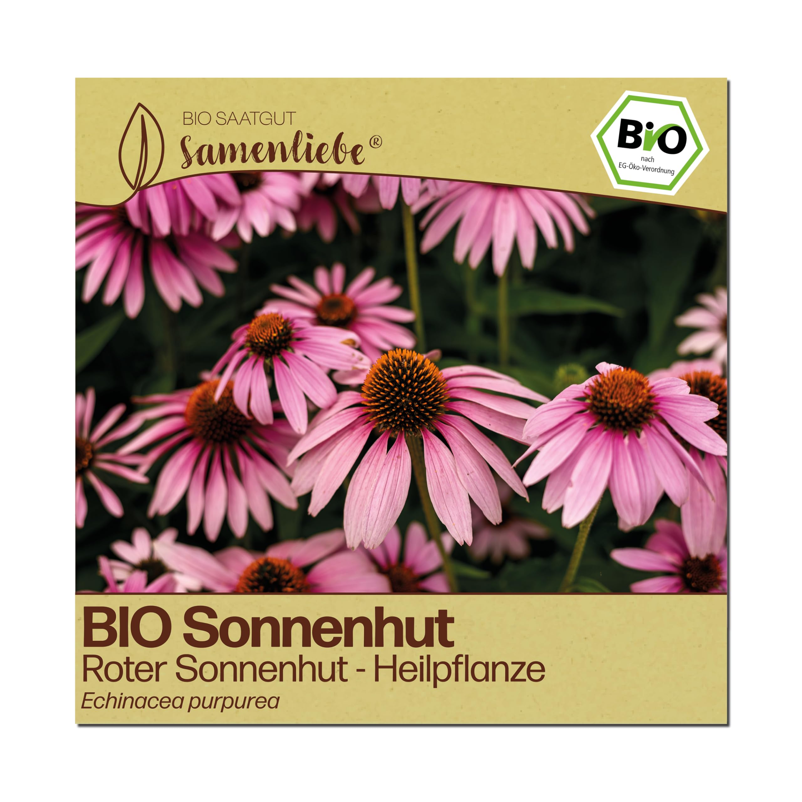 Samenliebe BIO Roter Sonnenhut Samen | Heilpflanze - winterhart & mehrjährig - samenfestes BIO Saatgut