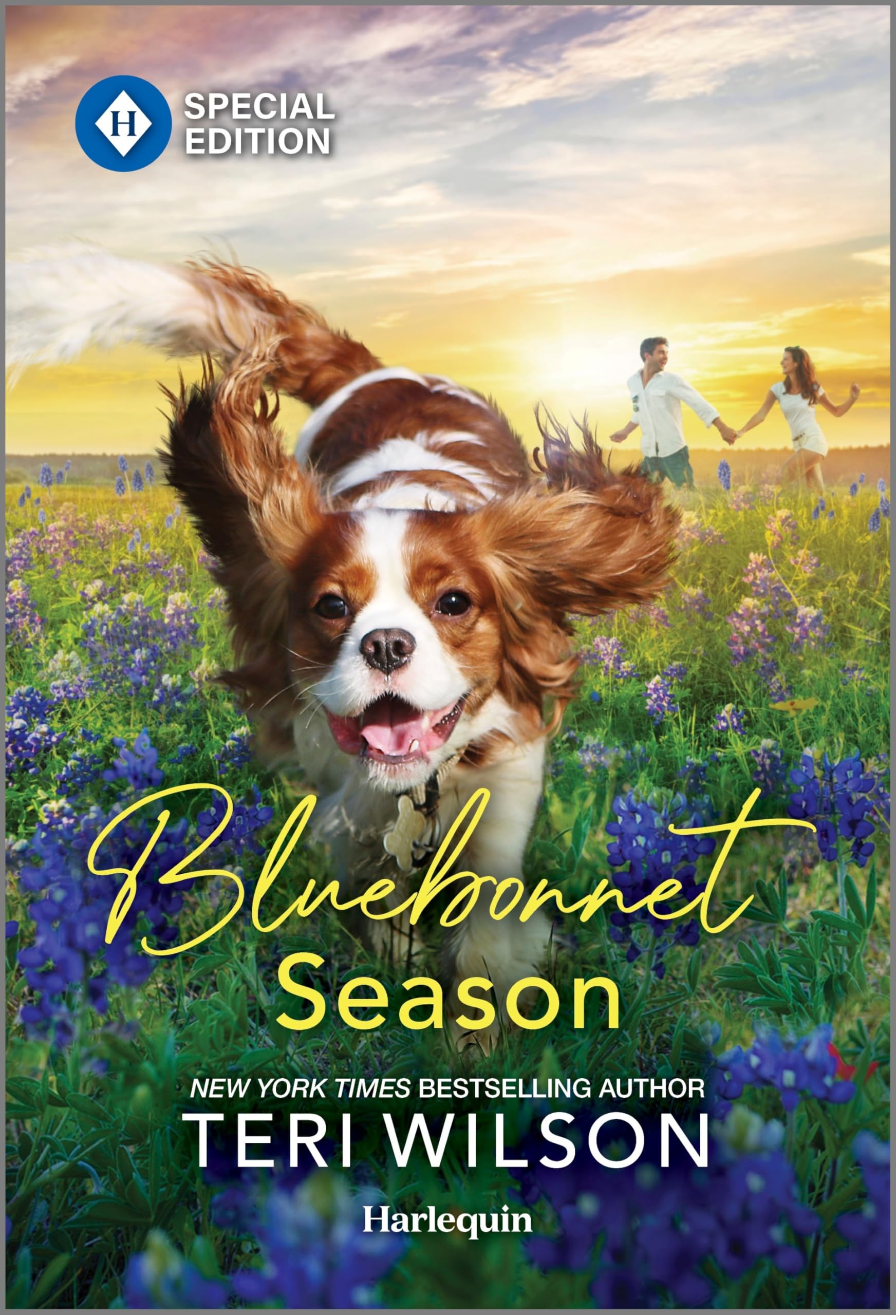 Bluebonnet Season: A Canine Connection that Leads to Romance