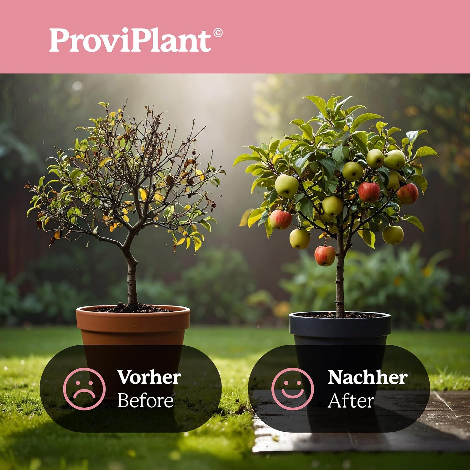 Engrais liquide pour arbres fruitiers - Pour pommiers, cerisiers, pruniers et plus encore - 1 litre de concentré pour jusqu'à 200 litres d'eau d'arrosage - Fabriqué en Allemagne — vue 4