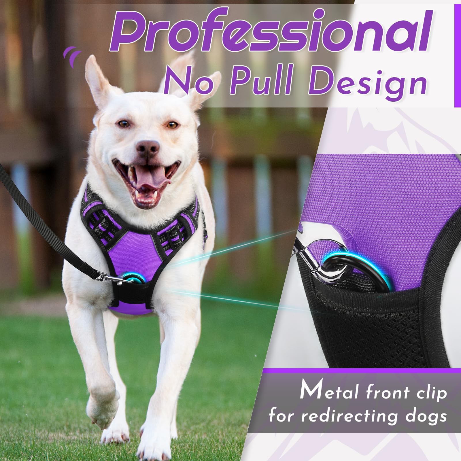 Eagloo Pettorina Cane Taglia Media, Pettorina ad h Antifuga, Imbracatura per Cani Anti Tiro con Doppio Gancio, Imbracatura Robusto e Regolabile per Addestramento Passeggiate, M, Viola
