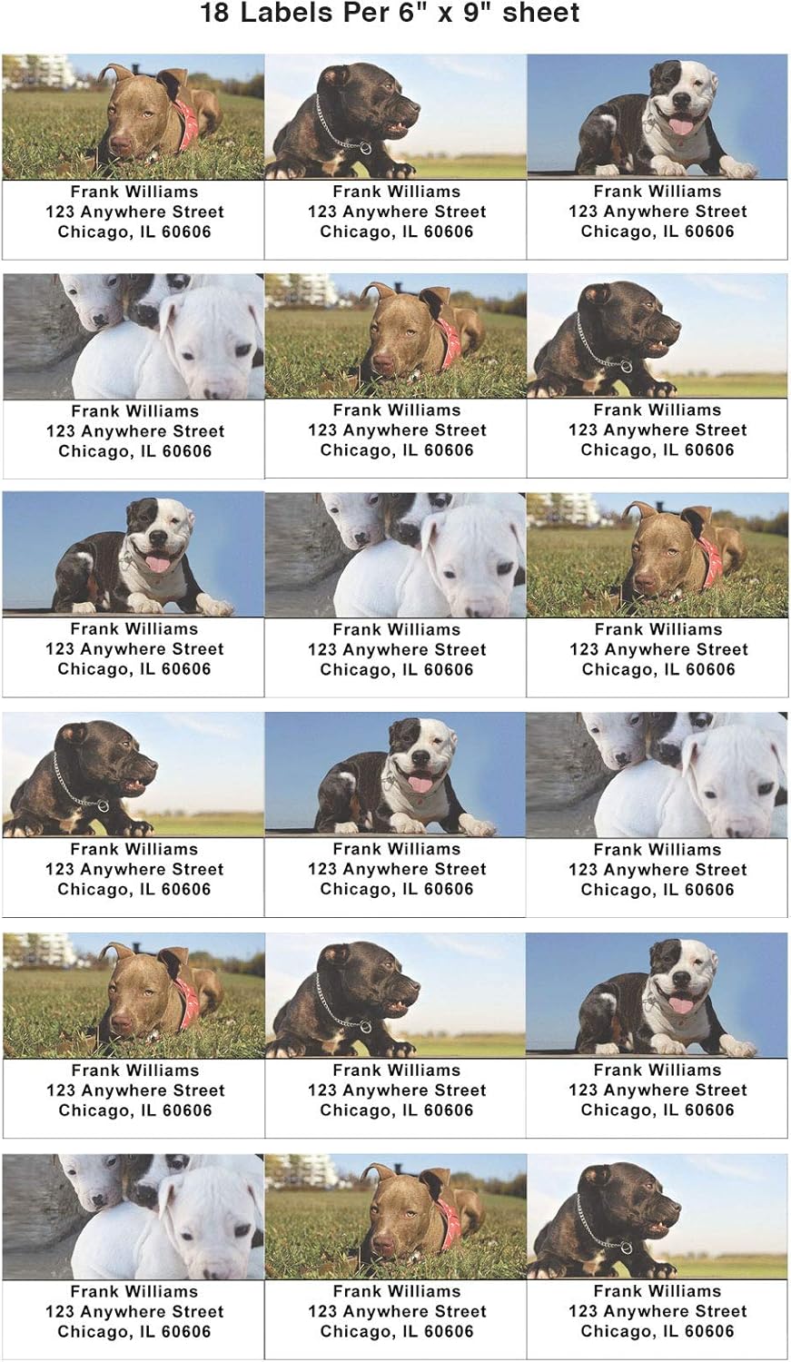 Pitbull Puppies Address Labels