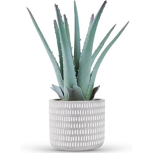 Der Rose Fake Plants Succulents Plants Artificial for Home Room Office Decor Indoor