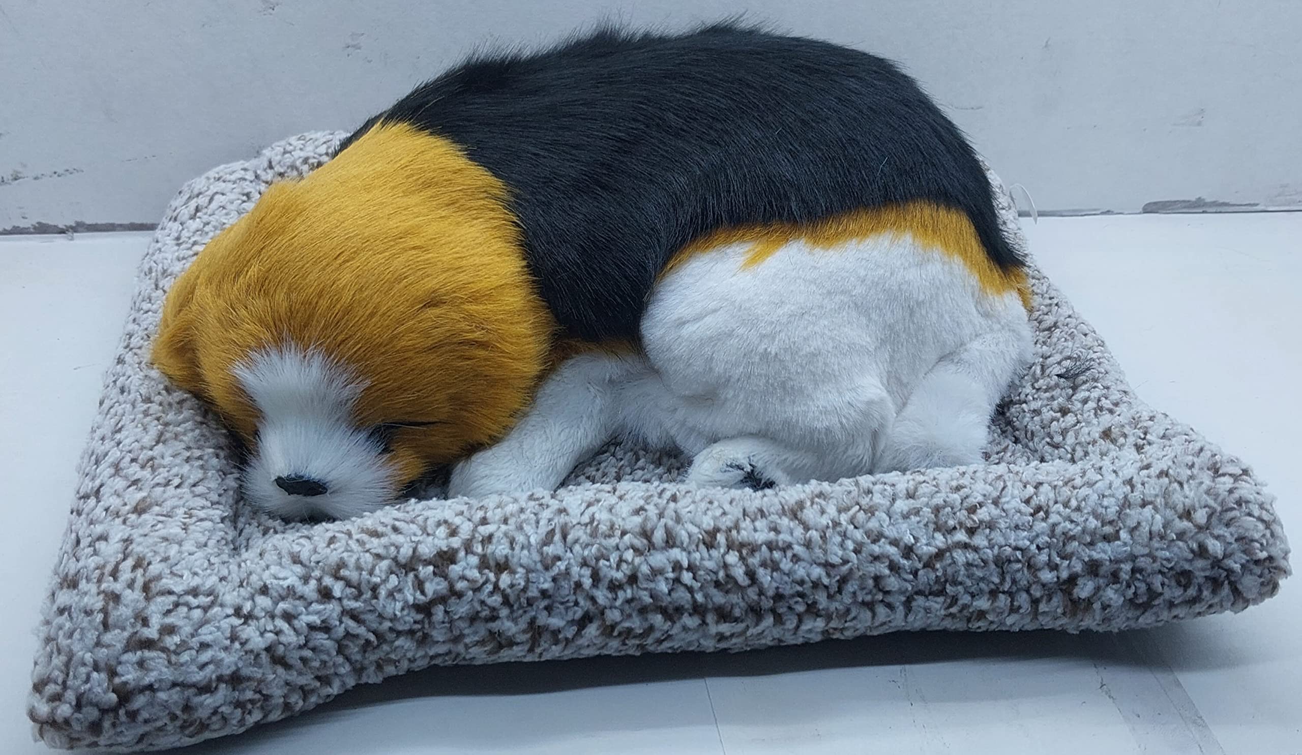 Car Sajawat Sleeping Dogs on Pad Decorations Furnishing Article and Craft 1 Pcs Sleeping Dog with a Mat. (B0BM524HG6) Amazon Price History, Amazon Price Tracker