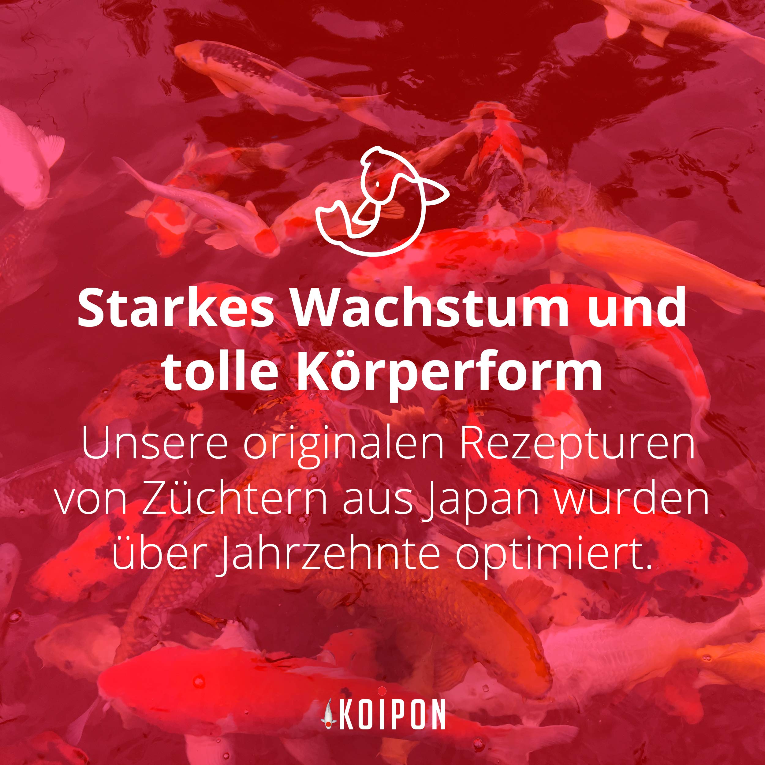 KOIPON Condition Koifutter 3,5 kg 6 mm Frühjahr & Herbst, schwimmend | Leicht verdauliches Frühjahrs- & Herbstfutter, schwimmende Pellets – für japanische Koi, auch für Goldfische
