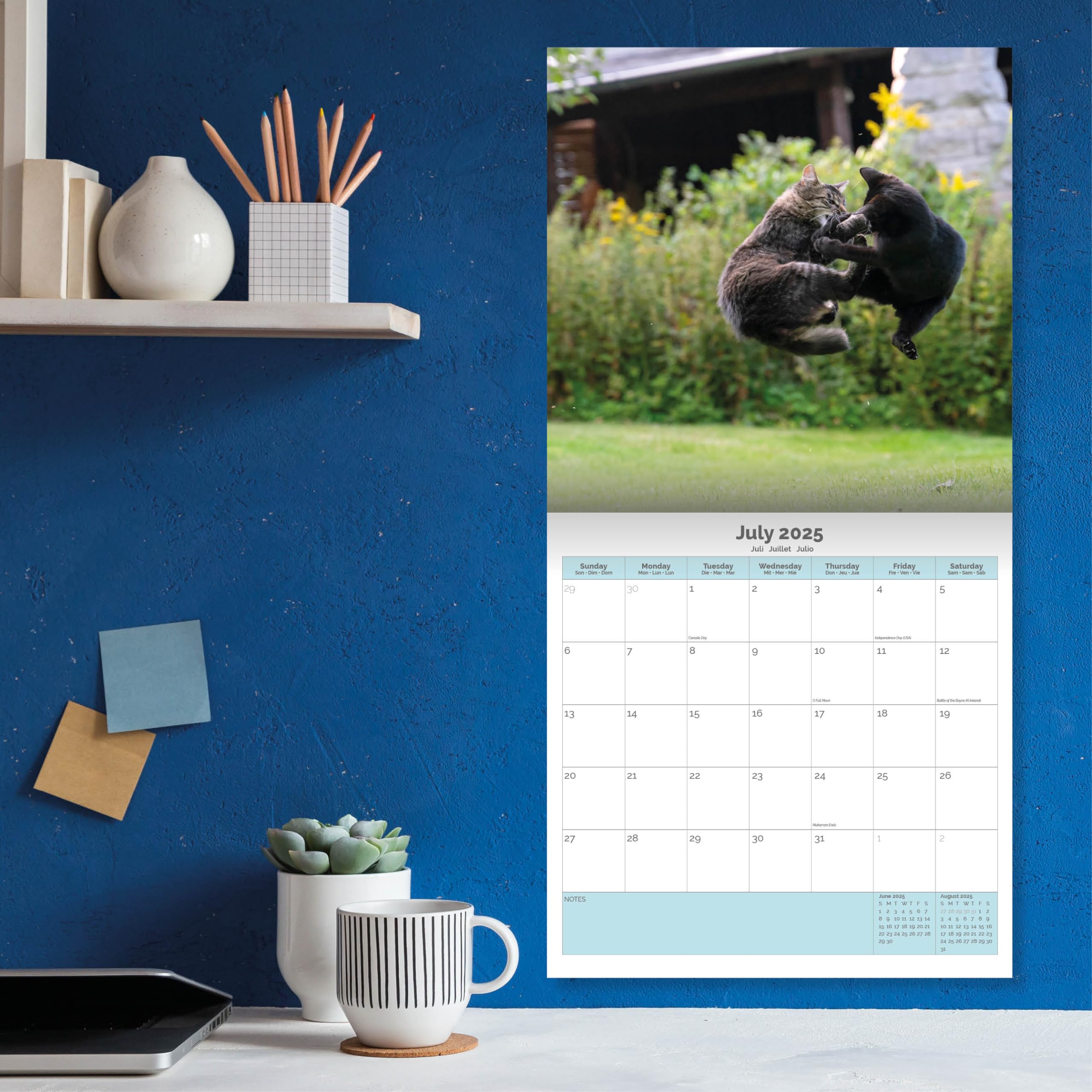 Baker and Bray Cats Calendar 2026, Large Square Wall Calendar With Organisational Stickers, 16 Month, Cats Gift Cat Calendar - Image 4