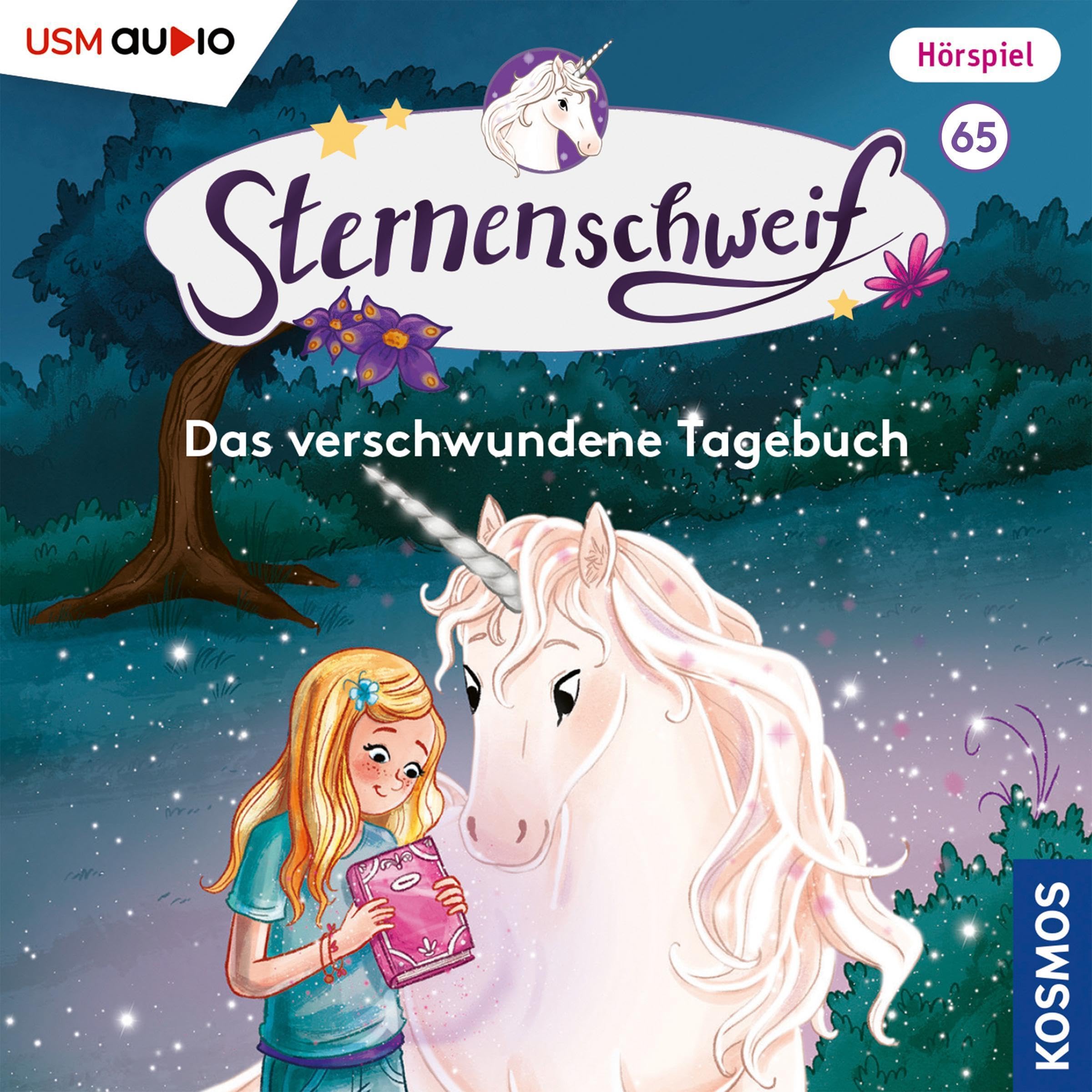 Cover art for Das verschwundene Tagebuch