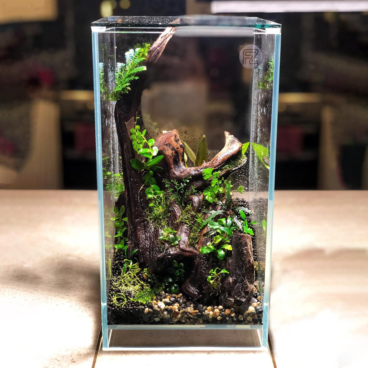 Fzone 2 Gal Nano Rimless Aquarium Low Iron Fish Tank NovaClear Ultra-White Translucent Glass Verso Series Nano Shallow Pond Levitating Floating Air Aquarium(A16-H30)