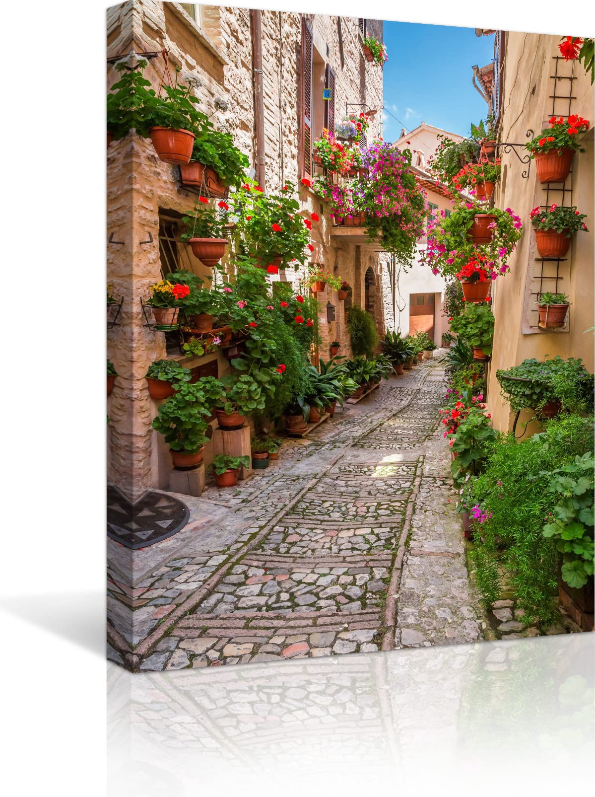 QTESPEII Italian Flowers Town Wall Art Nature Landscape Photography Picture Floral Botanical Canvas Print Paintings Modern Framed Artwork for Home