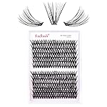 Cluster Lashes 30D+40D Individual Lashes 240pcs DIY Eyelash Extension D Curl 0.07 Natural Individual Lash Extensions False Eyelashes Wispy (30D+40D-0.07D, 12mm)