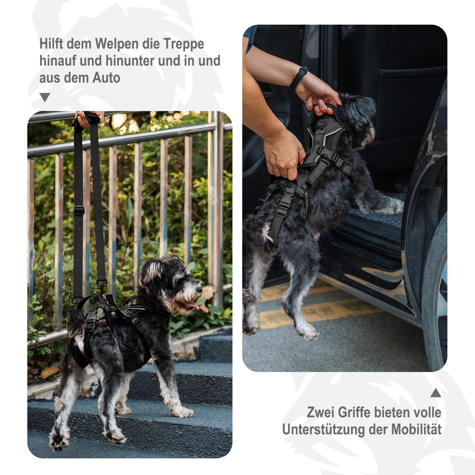 OneTigris Hundegeschirr, Hopper Kleines Unterstützung Geschirr Einstellbares Hebegeschirr mit 2 Griffen für Unterstützung und Rehabilitation Geeignet für Kleiner Hund Schwarz S