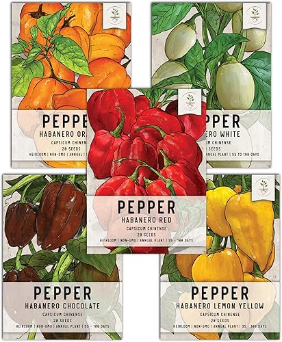Seed Needs Habanero - Colección de paquetes de semillas de pimienta 5 variedades individuales para plantar sin OMG y sin tratar más de 300000 disponible en Yaxa Colombia