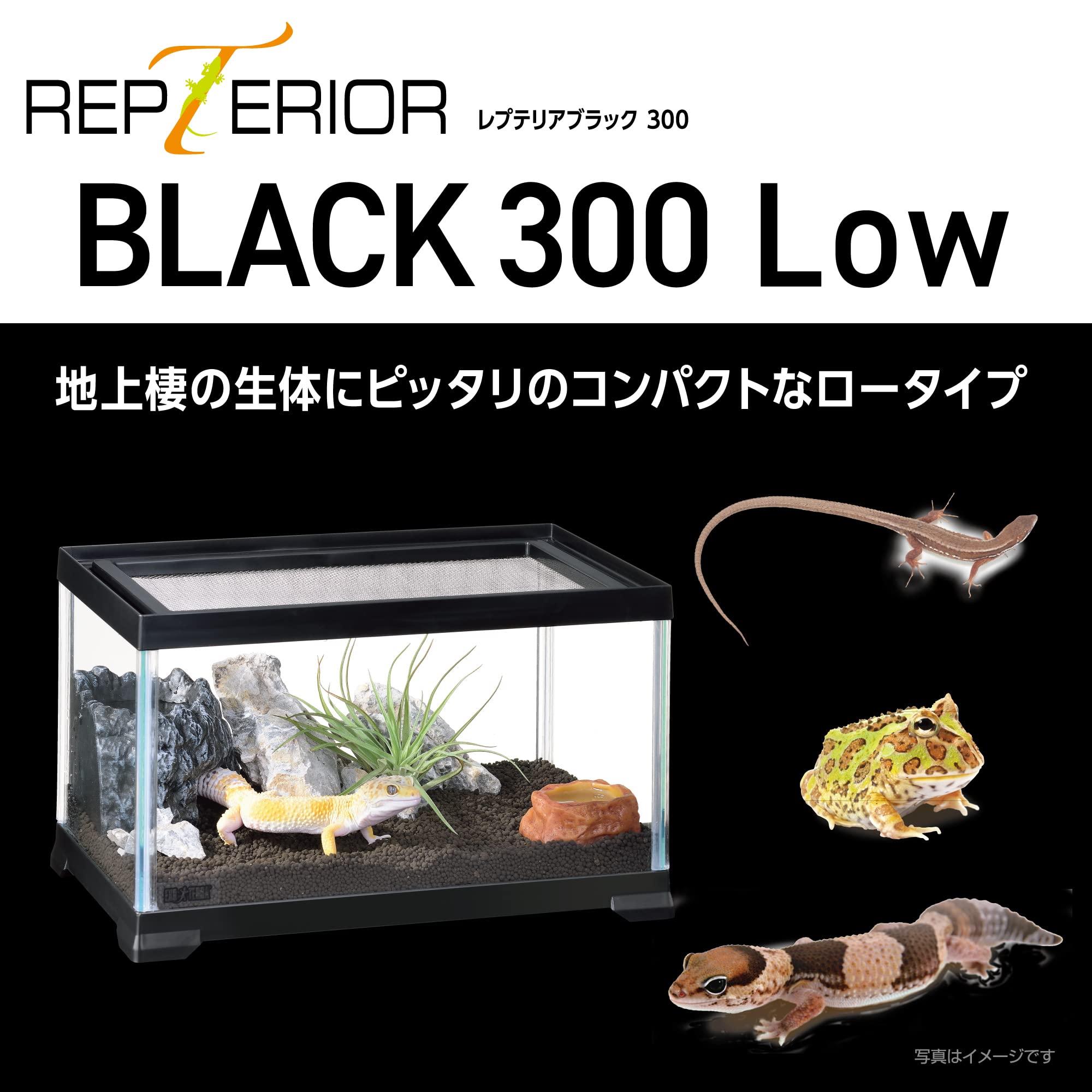 Amazon | EXO TERRA エキゾテラ レプテリアブラック 300Low 小型爬虫類 