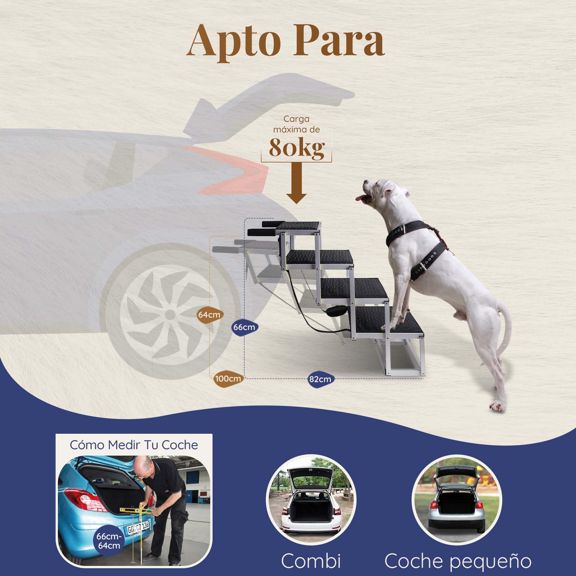 Escalera para Perros pequeños o Grandes PRIORPET - Marca Que Brilla en la Oscuridad - Rampa de Coche Plegable - Adecuada para Todos los Coches - Superficie Antideslizante - 4 Escalones