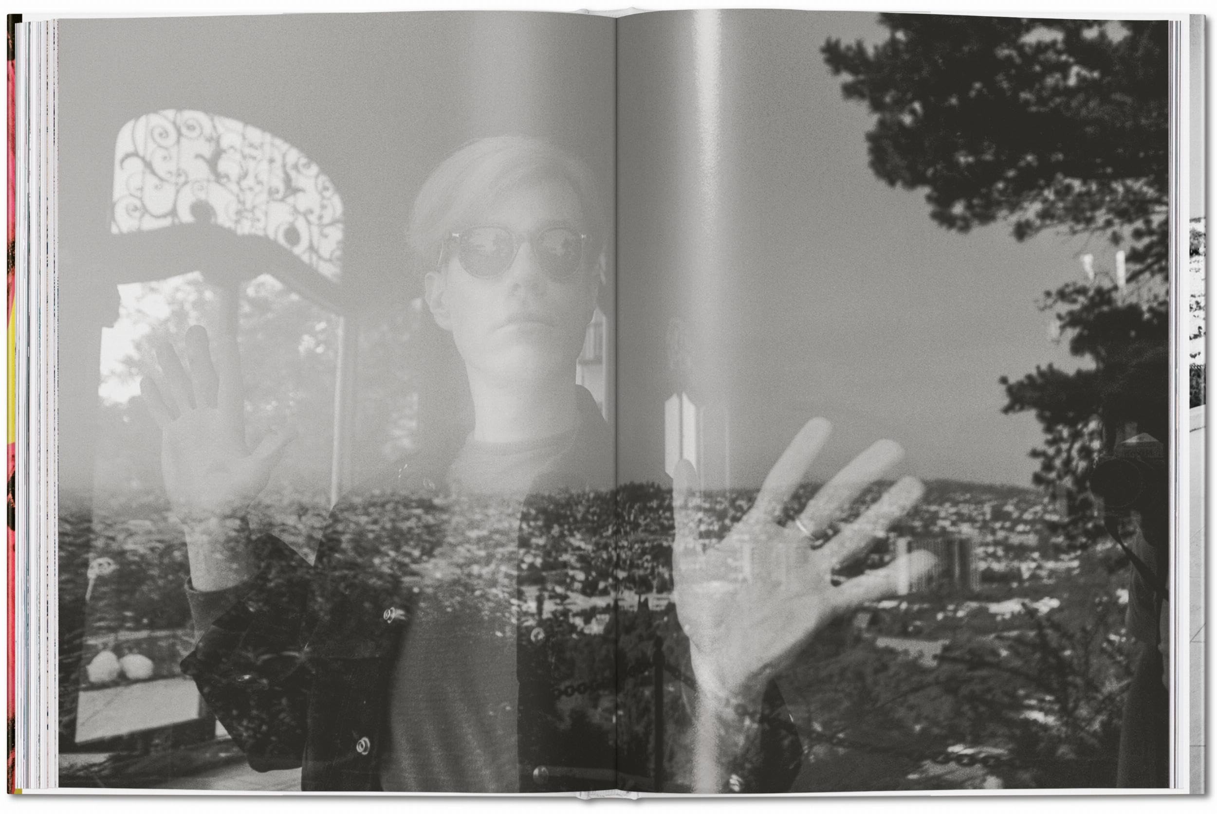 Steve Schapiro. Andy Warhol and Friends (Photography Book)