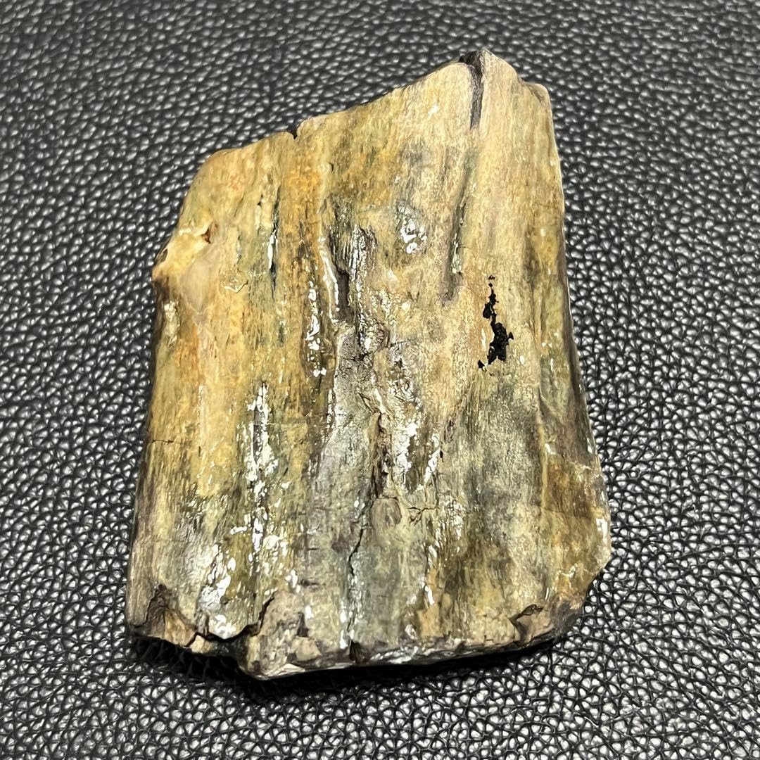 珪化木（木の化石） ペトリファイドウッド Amazon.co.jp: 珪化木 化石木 ペトリファイドウッド 福岡県産No.96