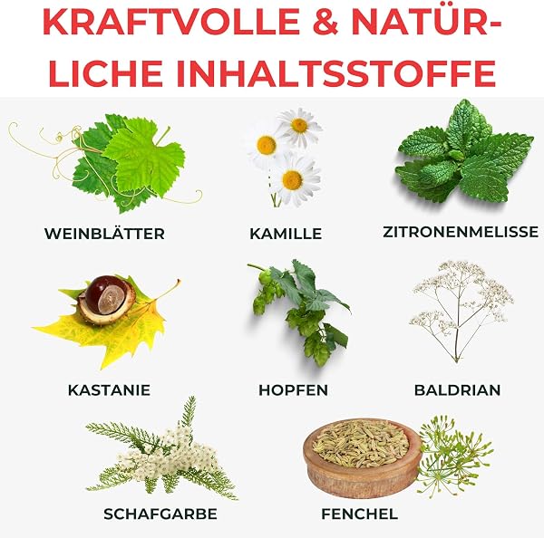 Kräuterhof Pferdebalsam Wärmend Extra Stark (500ml) – Durchblutungsfördernde Wärmesalbe, Massage-Gel mit Rosskastanie & Rotes Weinlaub, Lindert Gelenkschmerzen & Verspannungen - 4