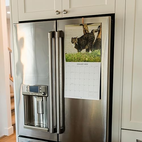 Miniatura 8 de Calendario mensual de pared 2024 de gatos divertidos que marcan el territorio, 12 x 24 pulgadas, regalo de broma, calendario 2024 para gatos