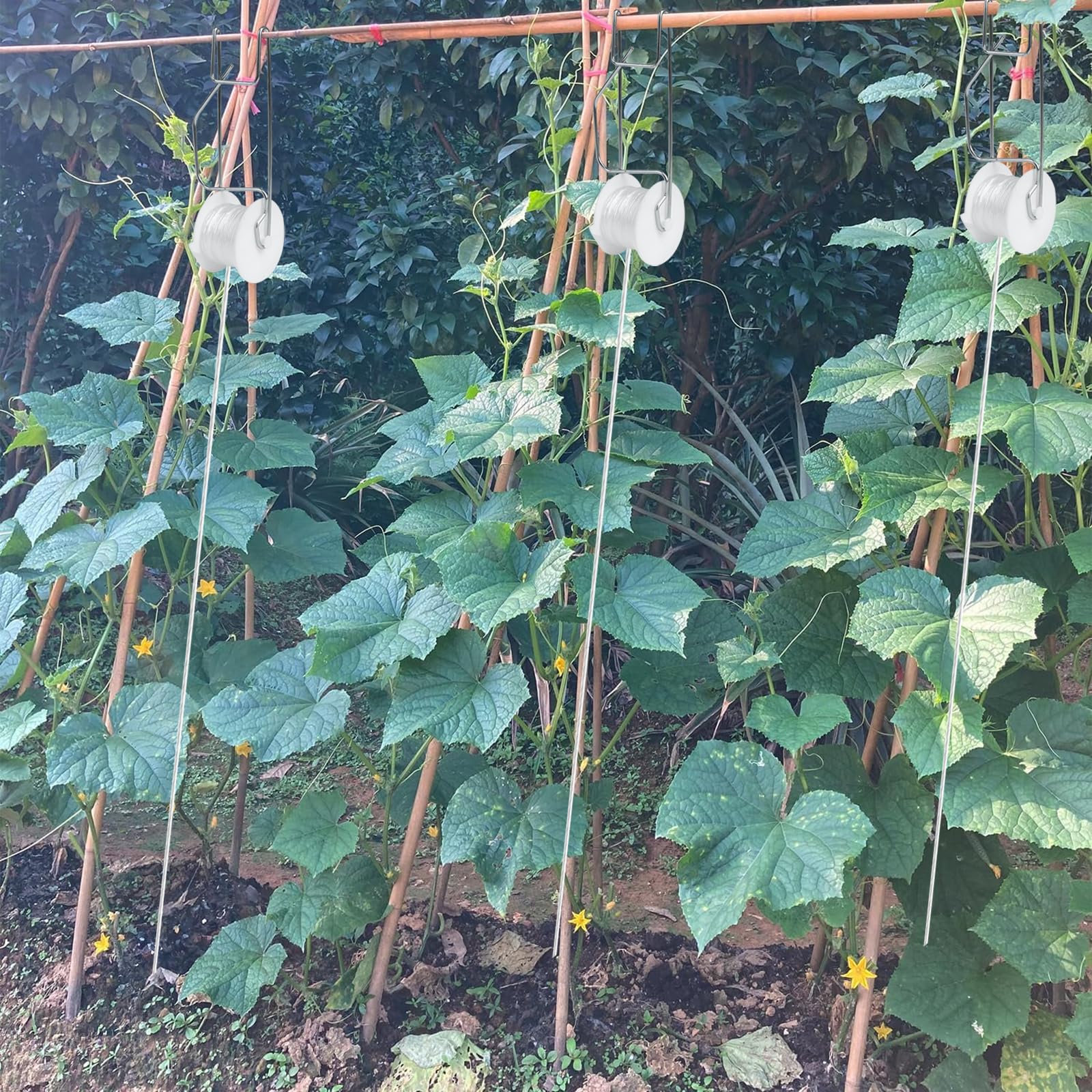 Tomatenstützhaken mit Schnur, 20 Stück, 100 Stück Pflanzenstützklammern für Kletterpflanzen, Tomaten-Rankgitter-Rollenhaken mit 120 m Schnur, wiederverwendbare Weinreben-Clips zur Vermeidung von
