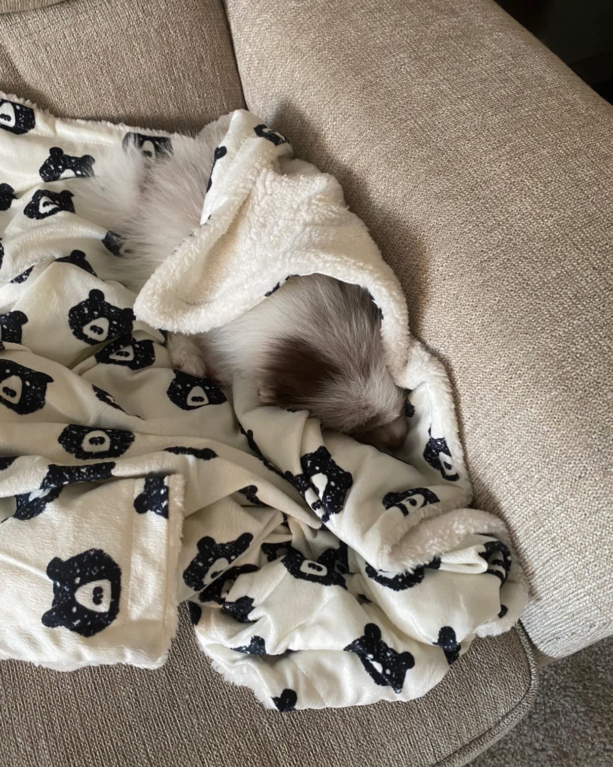 2/mo Finance Yoga Sprout Mink Blanket with Sherpa Backing, Bear