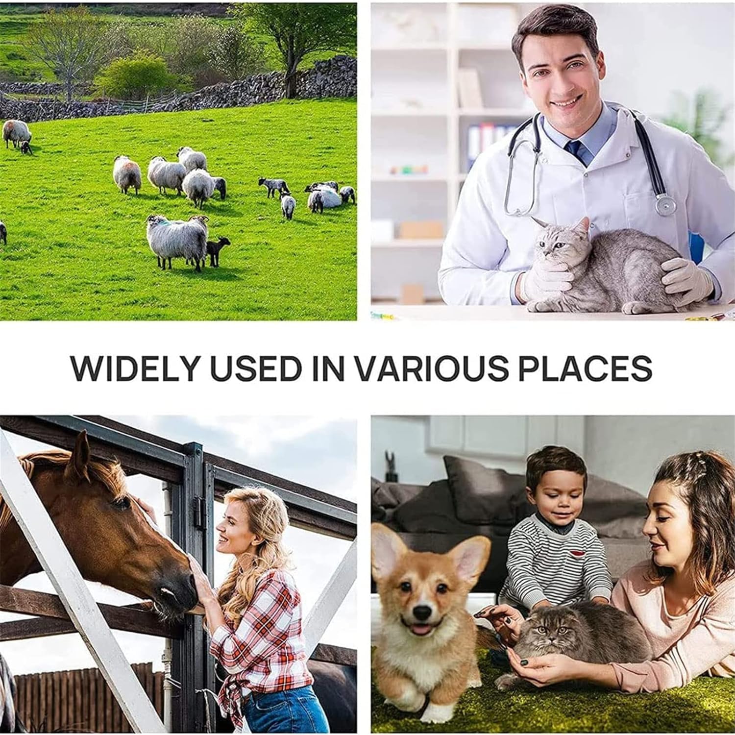 Scanner portatile wireless ad ultrasuoni per diagnosi veterinaria di gravidanza, sonda 3,5 MHz, batteria 4500 mAh, ricarica USB per maiali e pecore