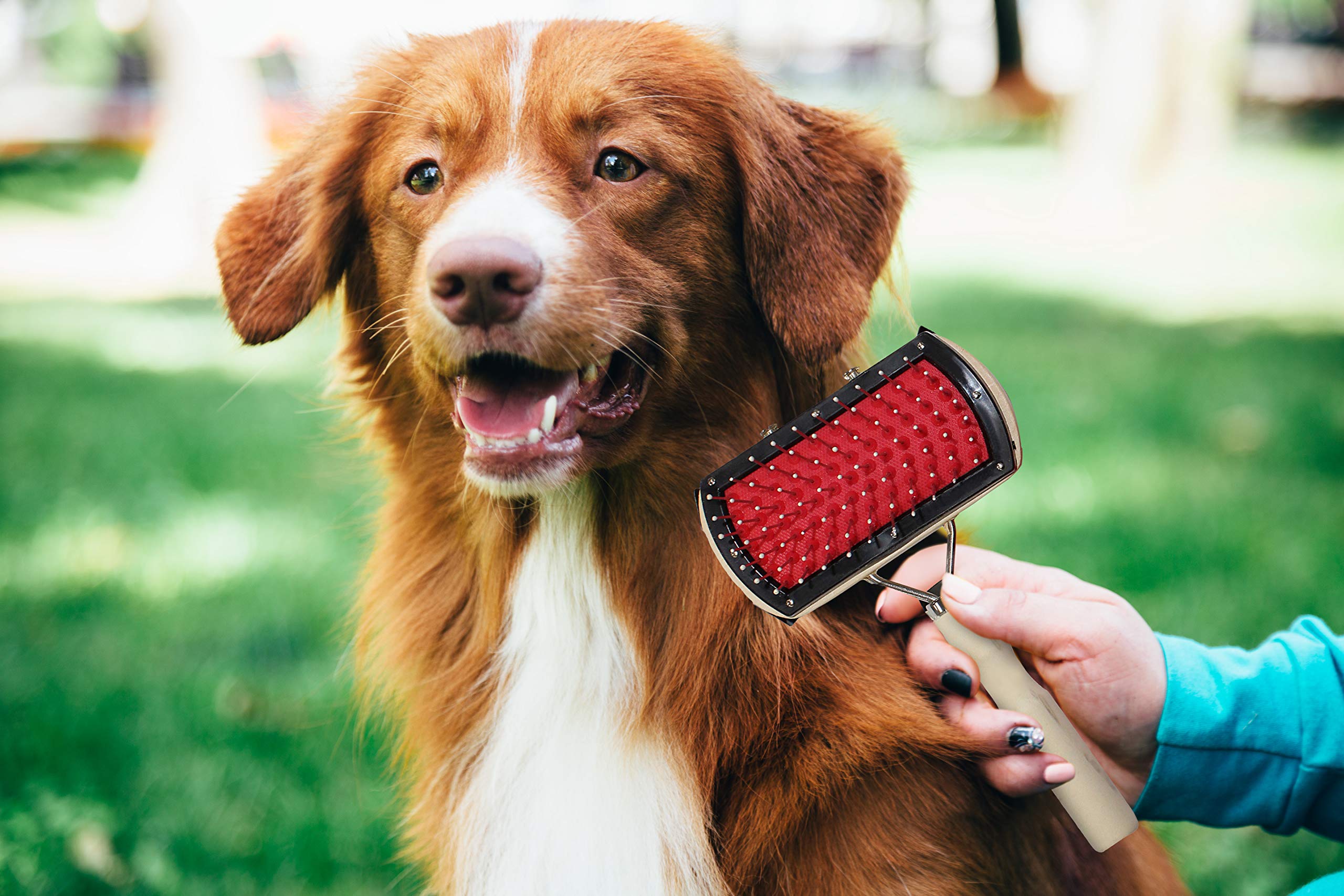 Pets First Grzebień do pcheł grzebień na wszy dla kotów, psów do pielęgnacji cienkich zębów grzebienie do włosów