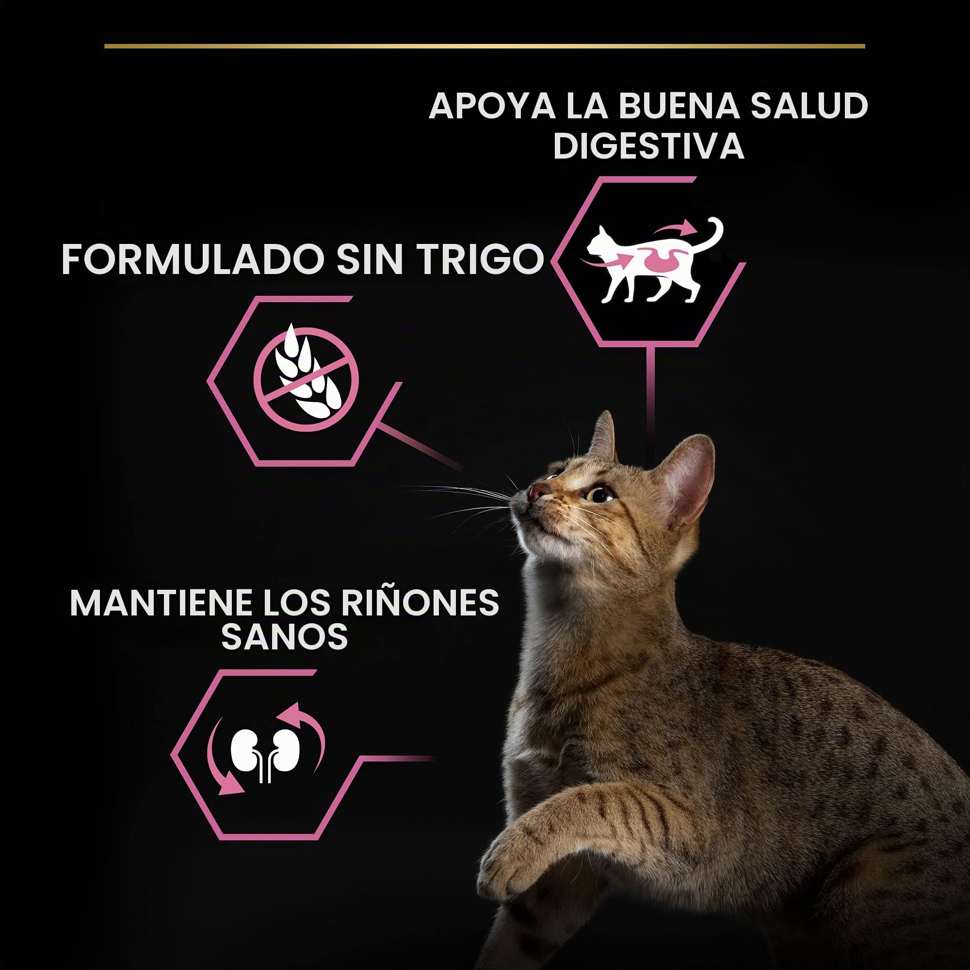 PRO PLAN Delicadas croquetas - Riche en agneau - Pour Chat Adulte - 10 kg