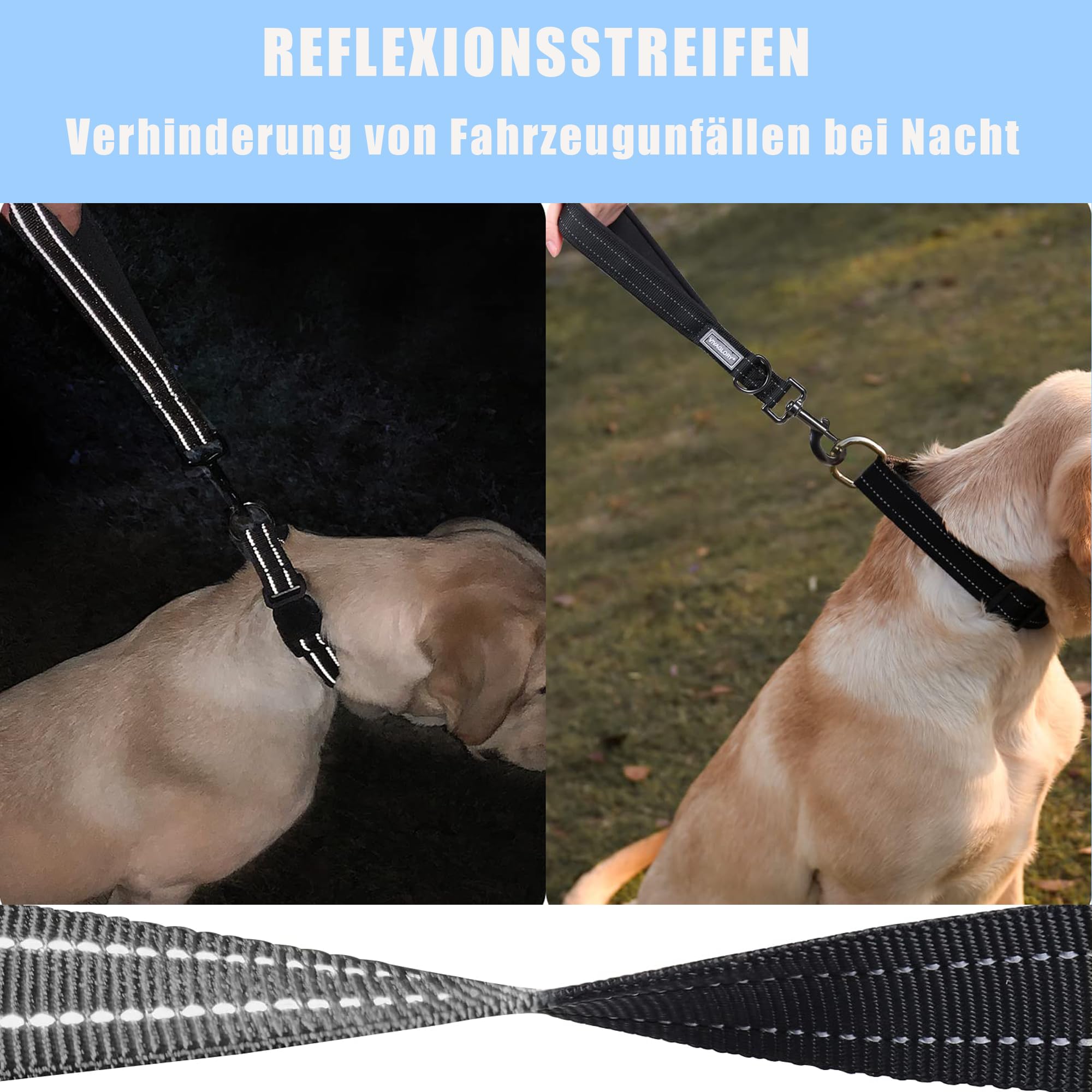 Laisse Courte pour Chien de 30 cm, avec Clip en métal et Rembourrage Doux, réfléchissante, en Nylon, Convient aux Chiens de Taille Moyenne et Grande (Orange, Taille S)