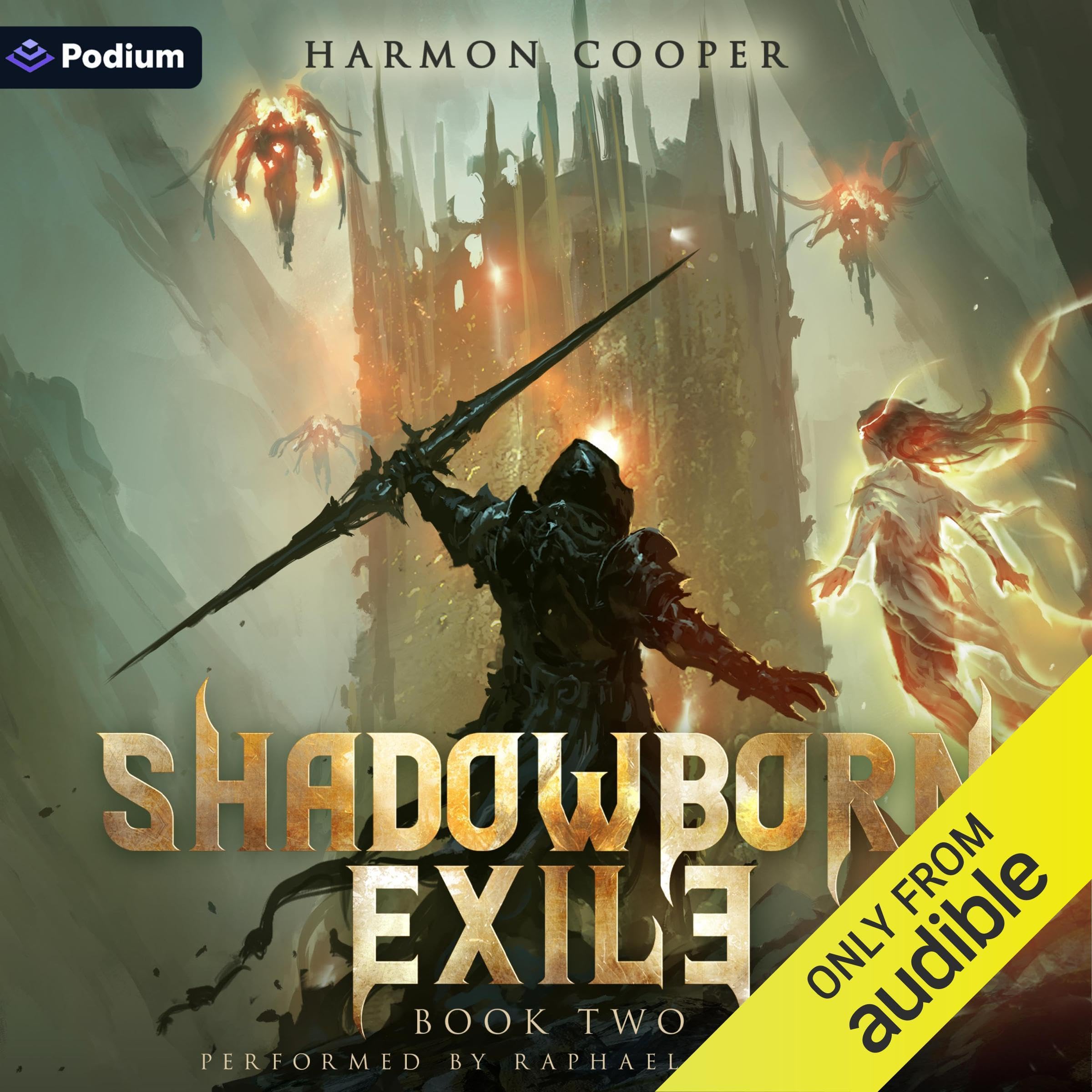 Cover art for Shadowborn Exile 2: A LitRPG Progression Fantasy
