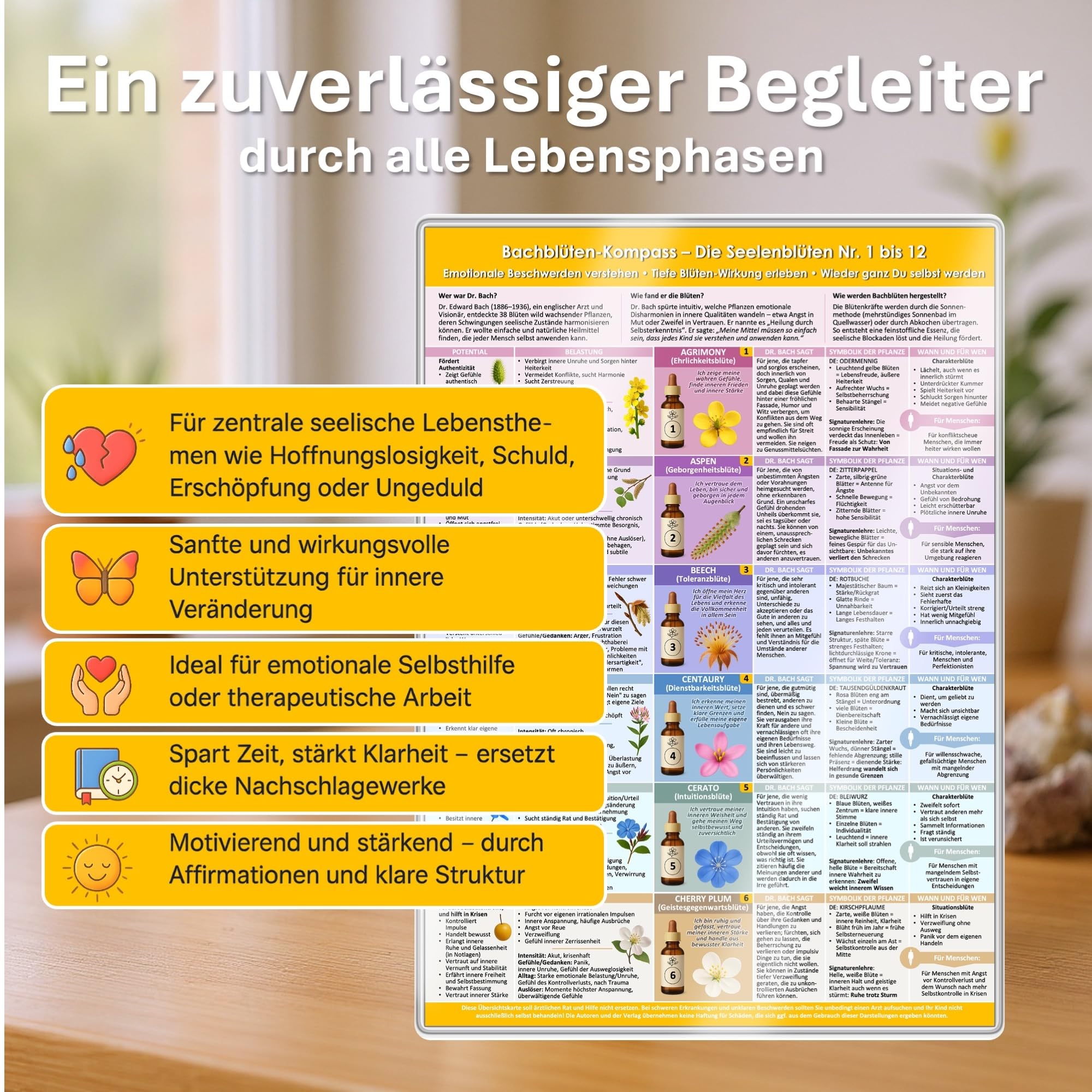 [5er Set] Der sanfte Naturheil-Kompass für Körper & Seele – mit allen 38 Bachblüten & 24 Schüßler-Salze: Behutsam körperlichen & seelischen ... & ... & Selbstanwender (DINA 4, laminiert)