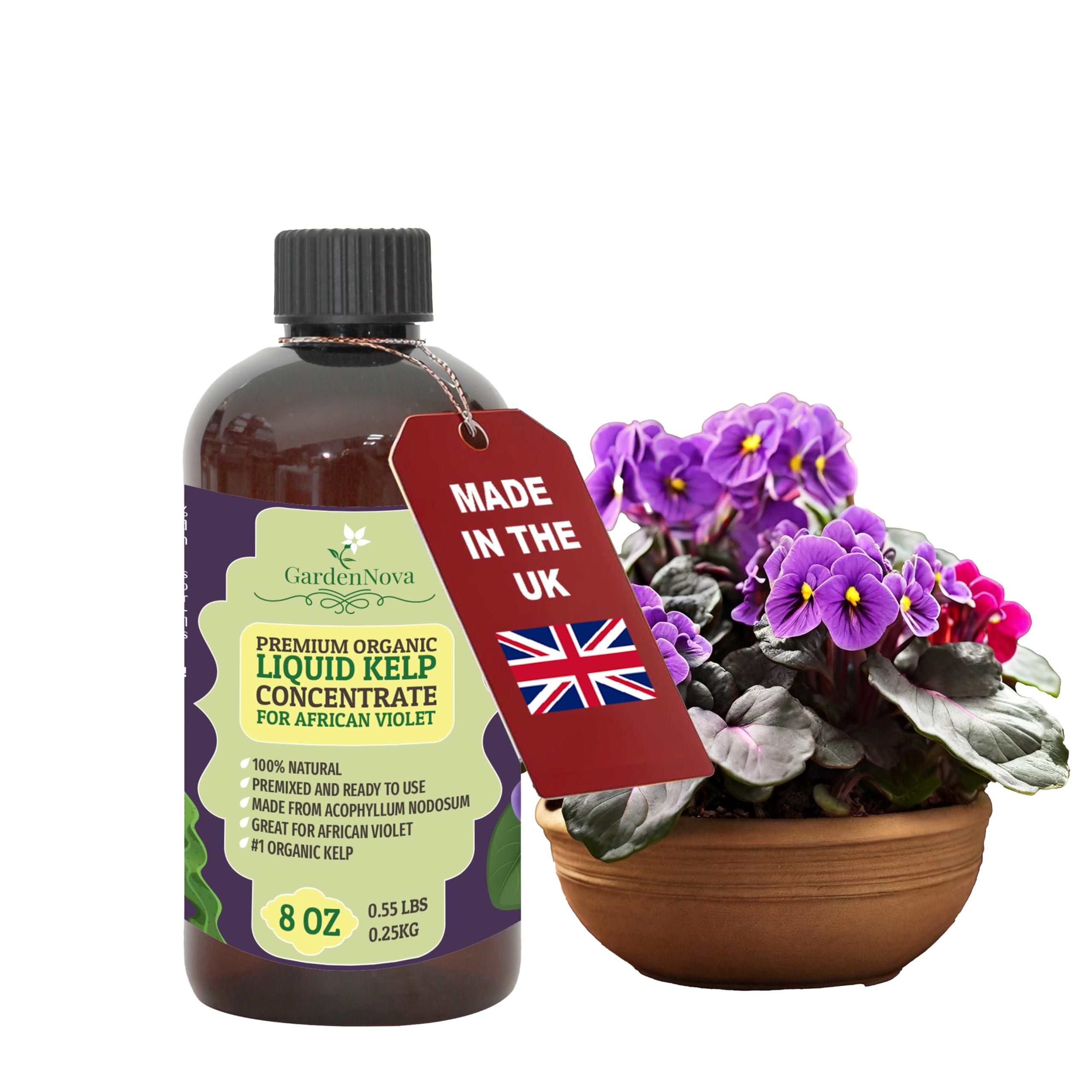 GARDENNOVA Premium Organic Seaweed & Kelp Superfood for African Violets - 8 oz - Liquid Kelp Fertilizer Concentrate (Makes 25 Litres)