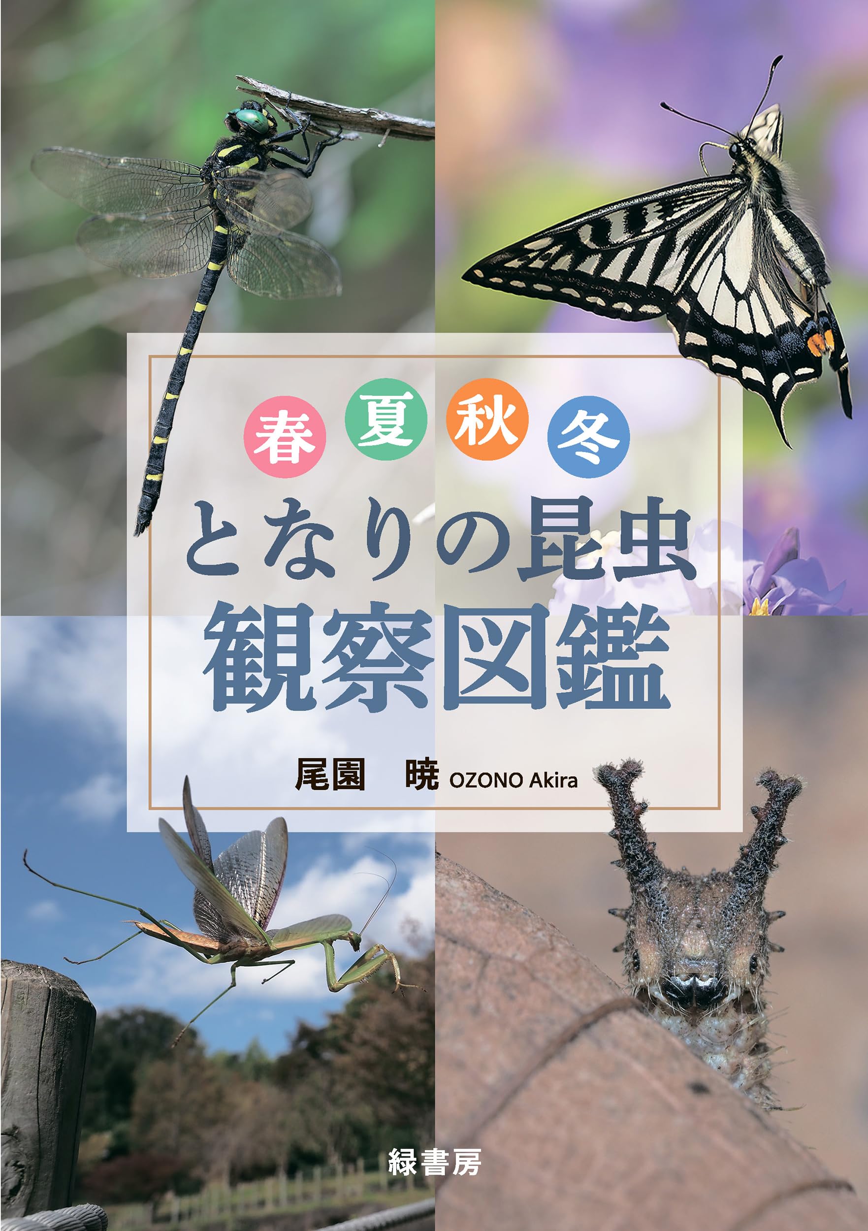 春夏秋冬 となりの昆虫観察図鑑 | 尾園 暁 |本 | 通販 | Amazon